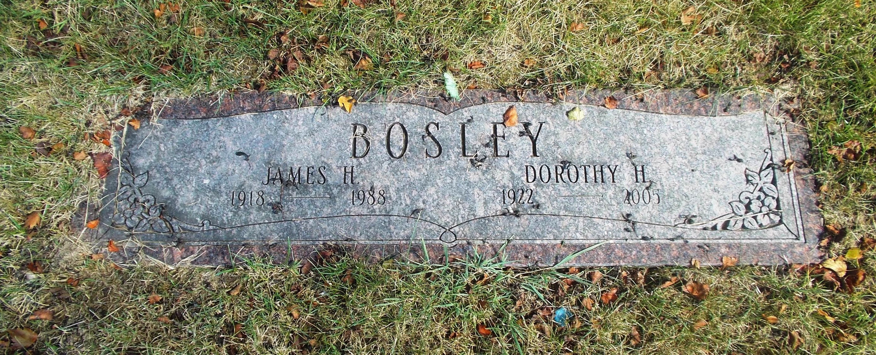 Dorothy H Bosley