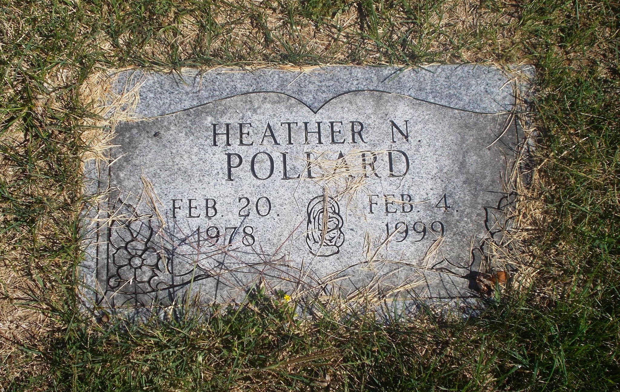 Heather N Pollard