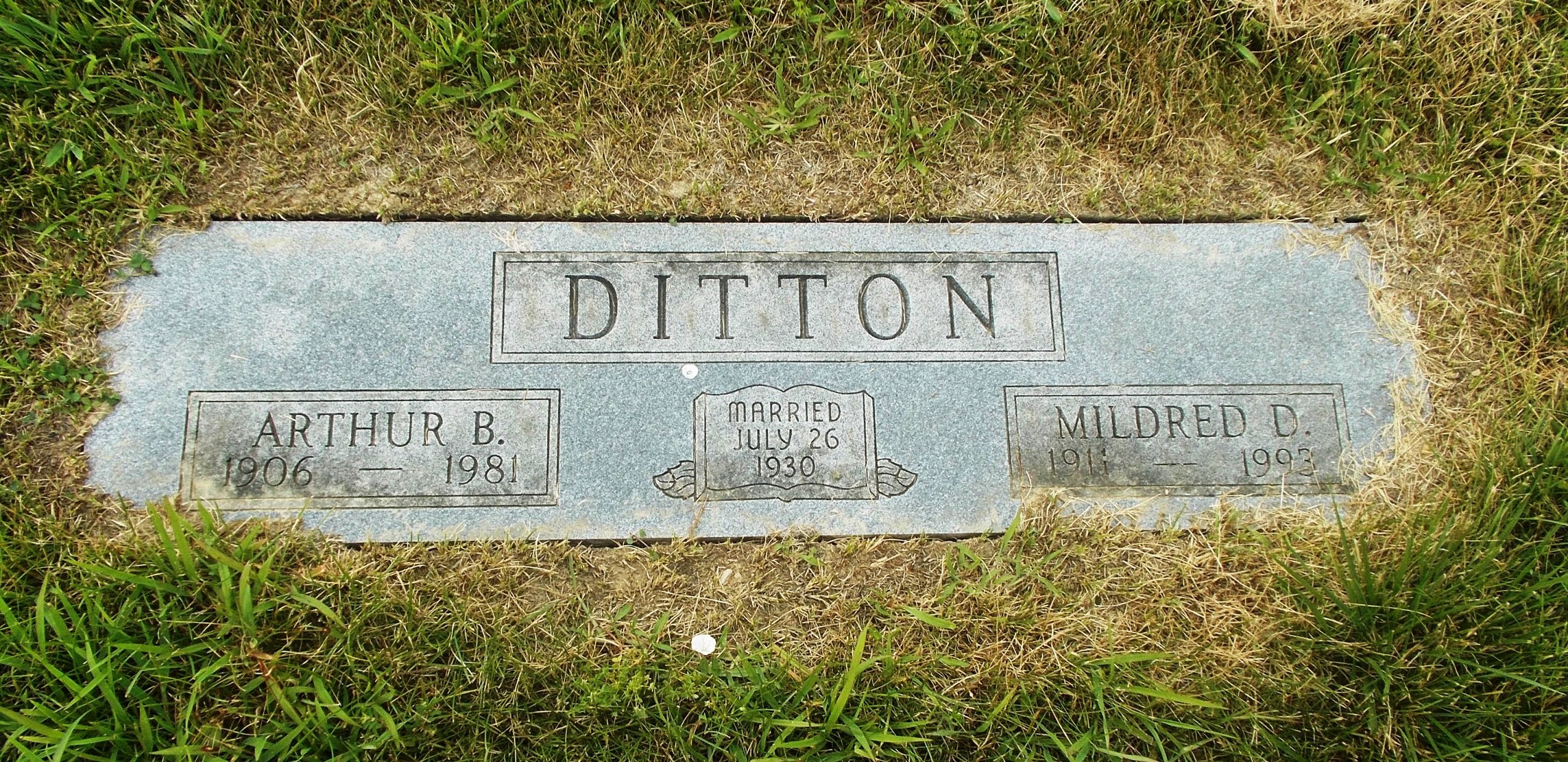 Mildred D Ditton