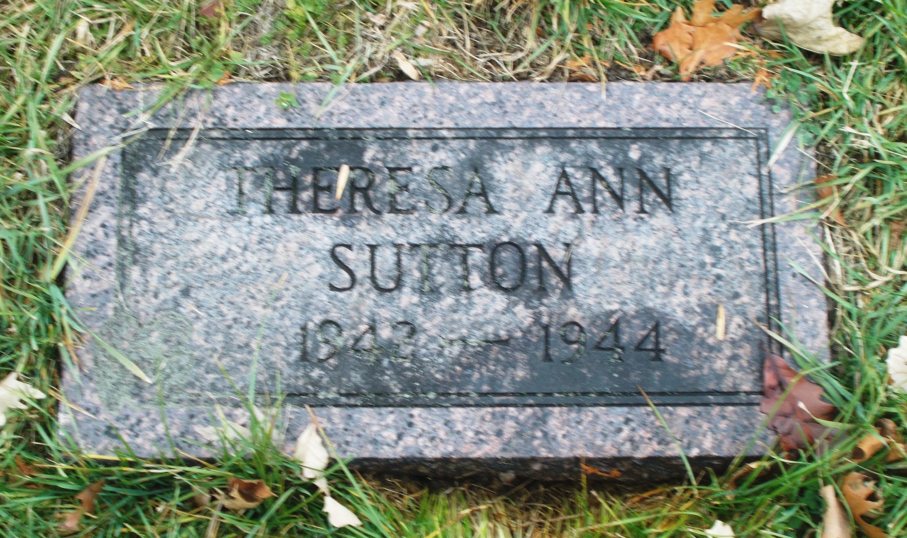 Theresa Ann Sutton