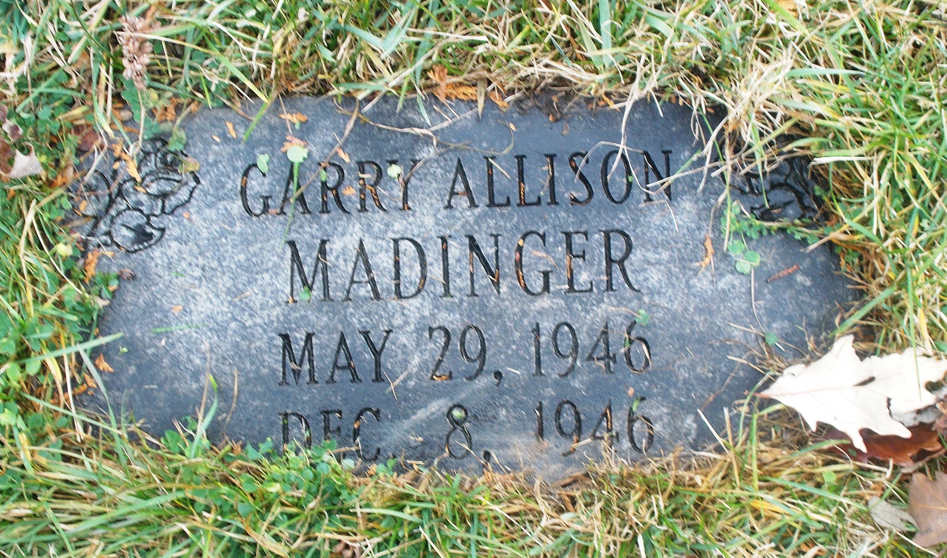 Garry Allison Madinger