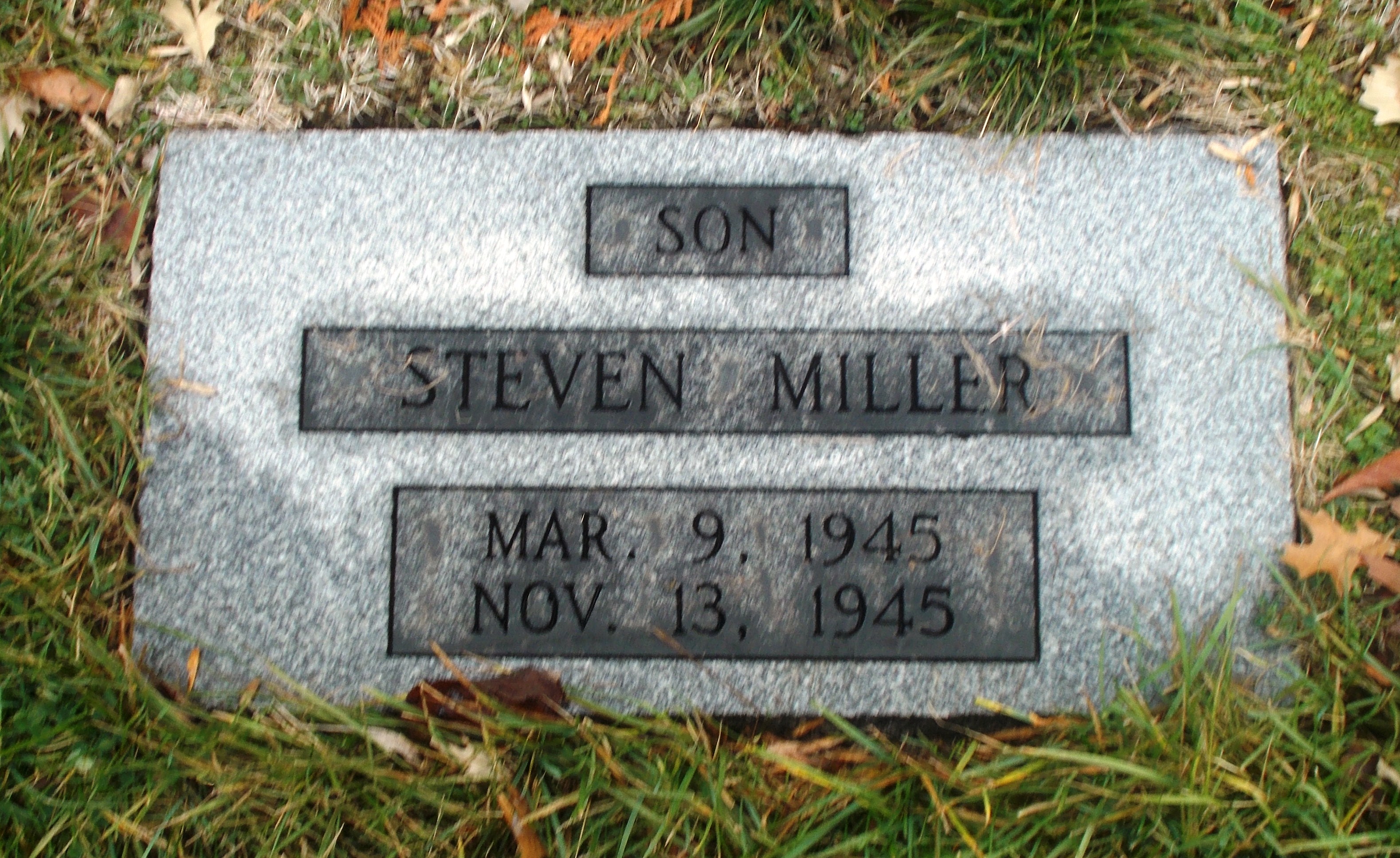 Steven Miller