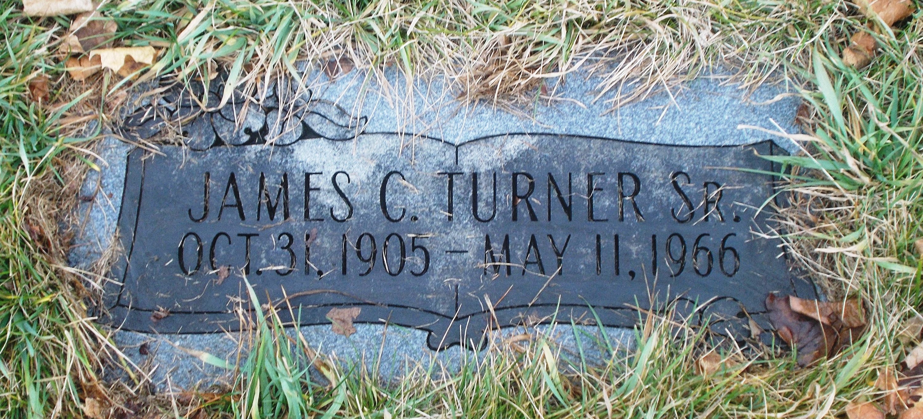 James C Turner, Sr