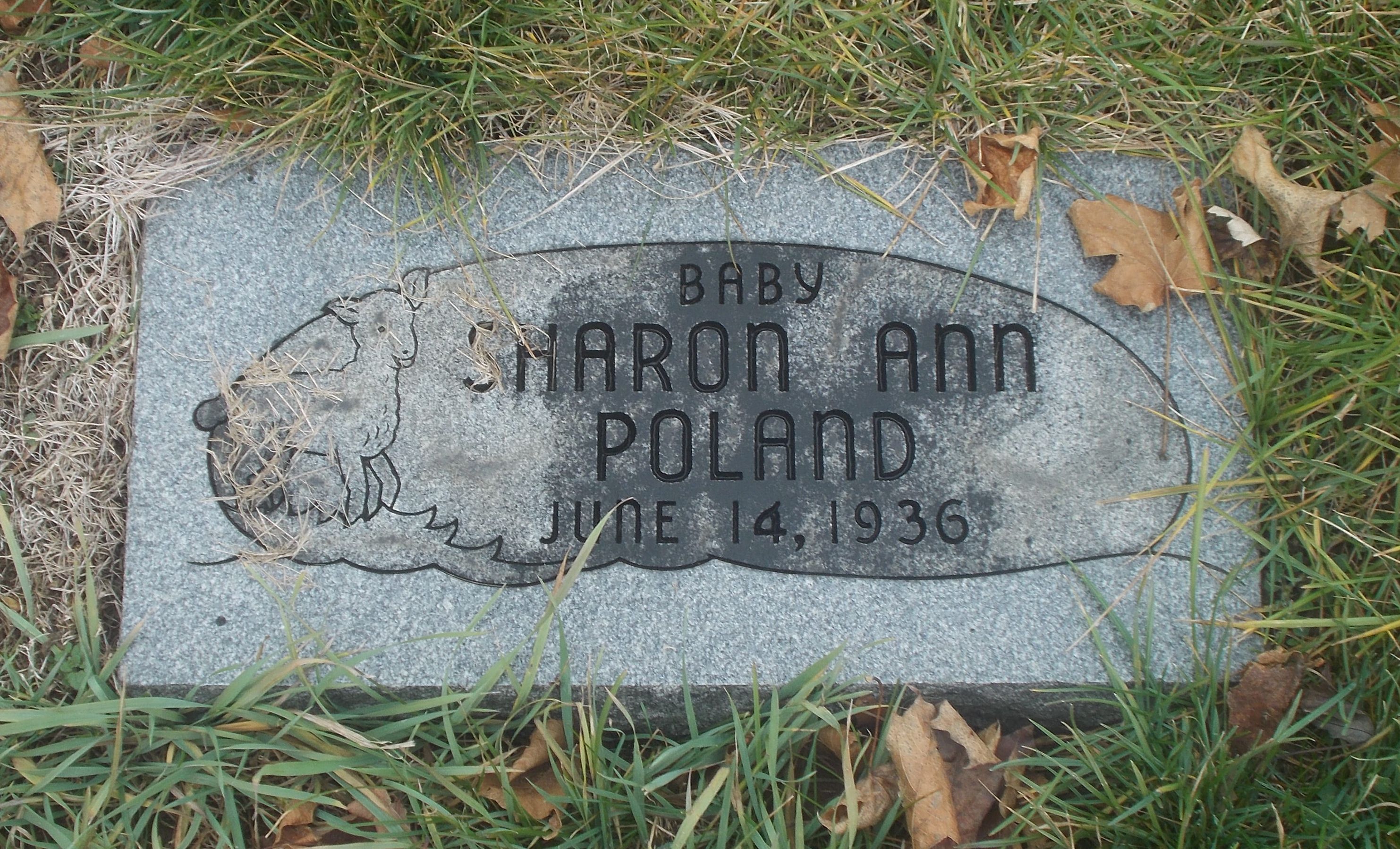 Sharon Ann Poland