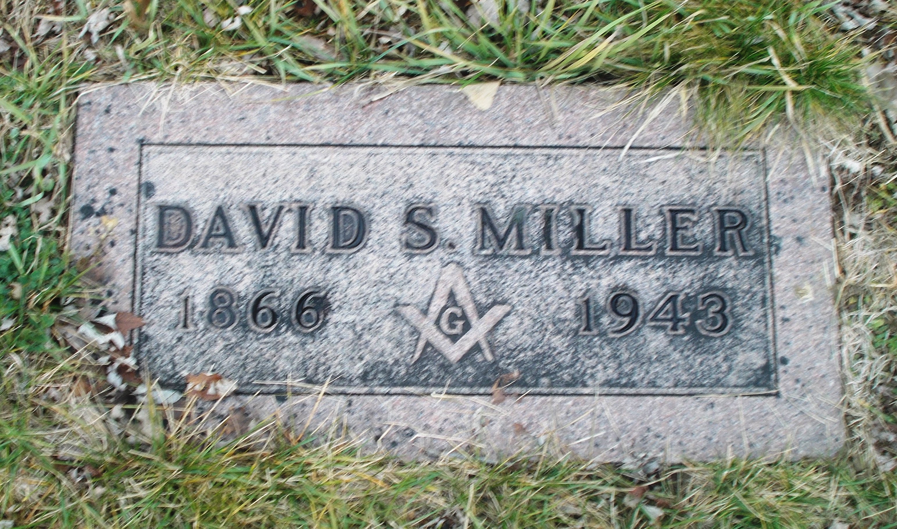 David S Miller