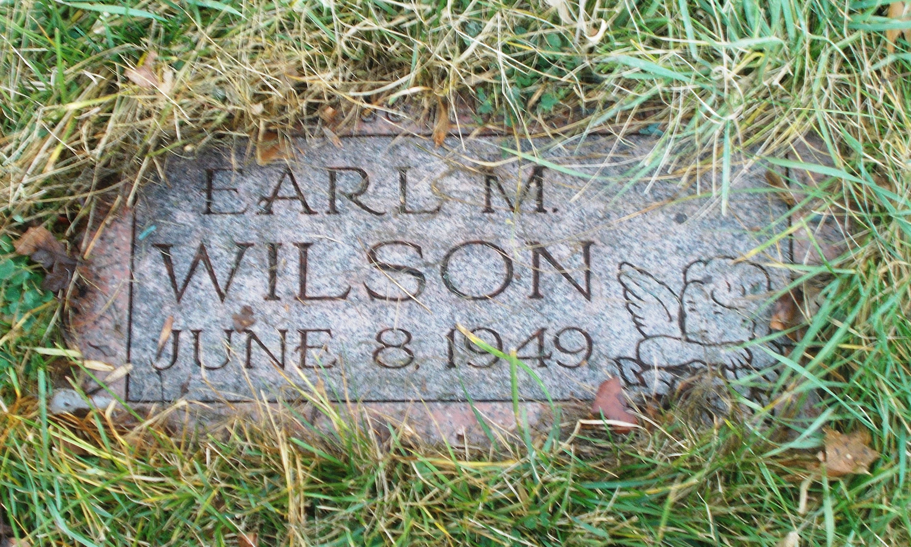 Earl M Wilson