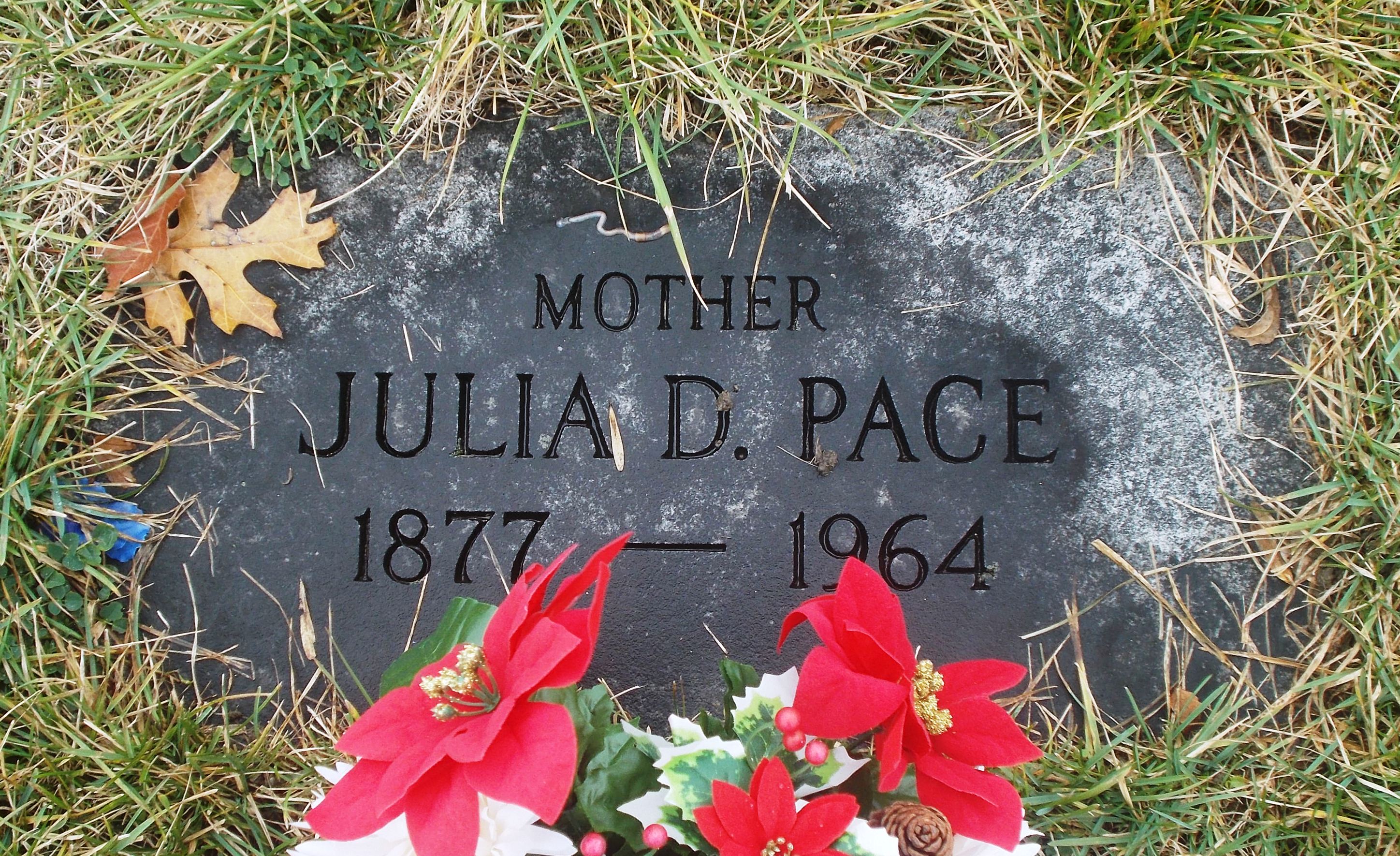 Julia D Pace
