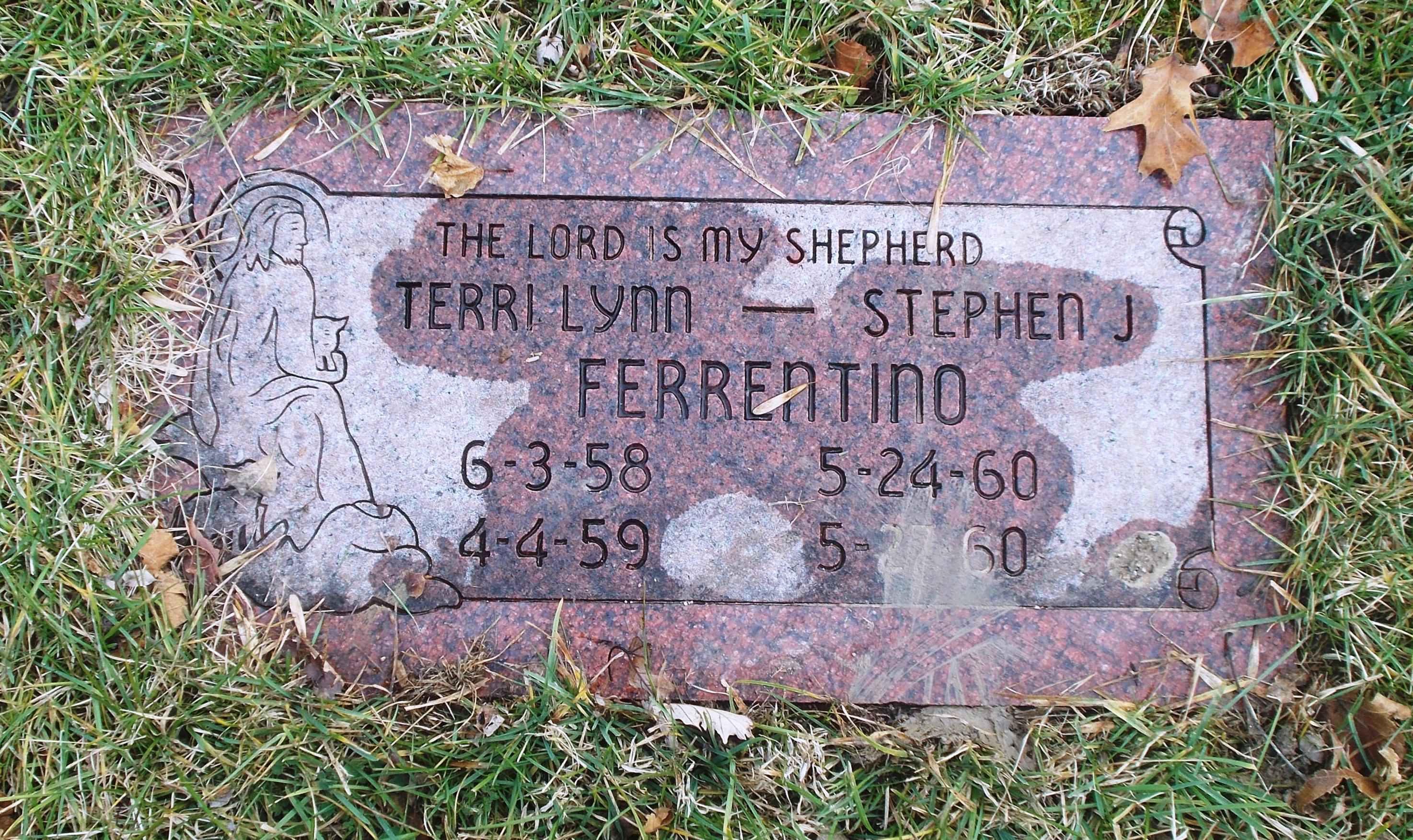 Stephen J Ferrentino