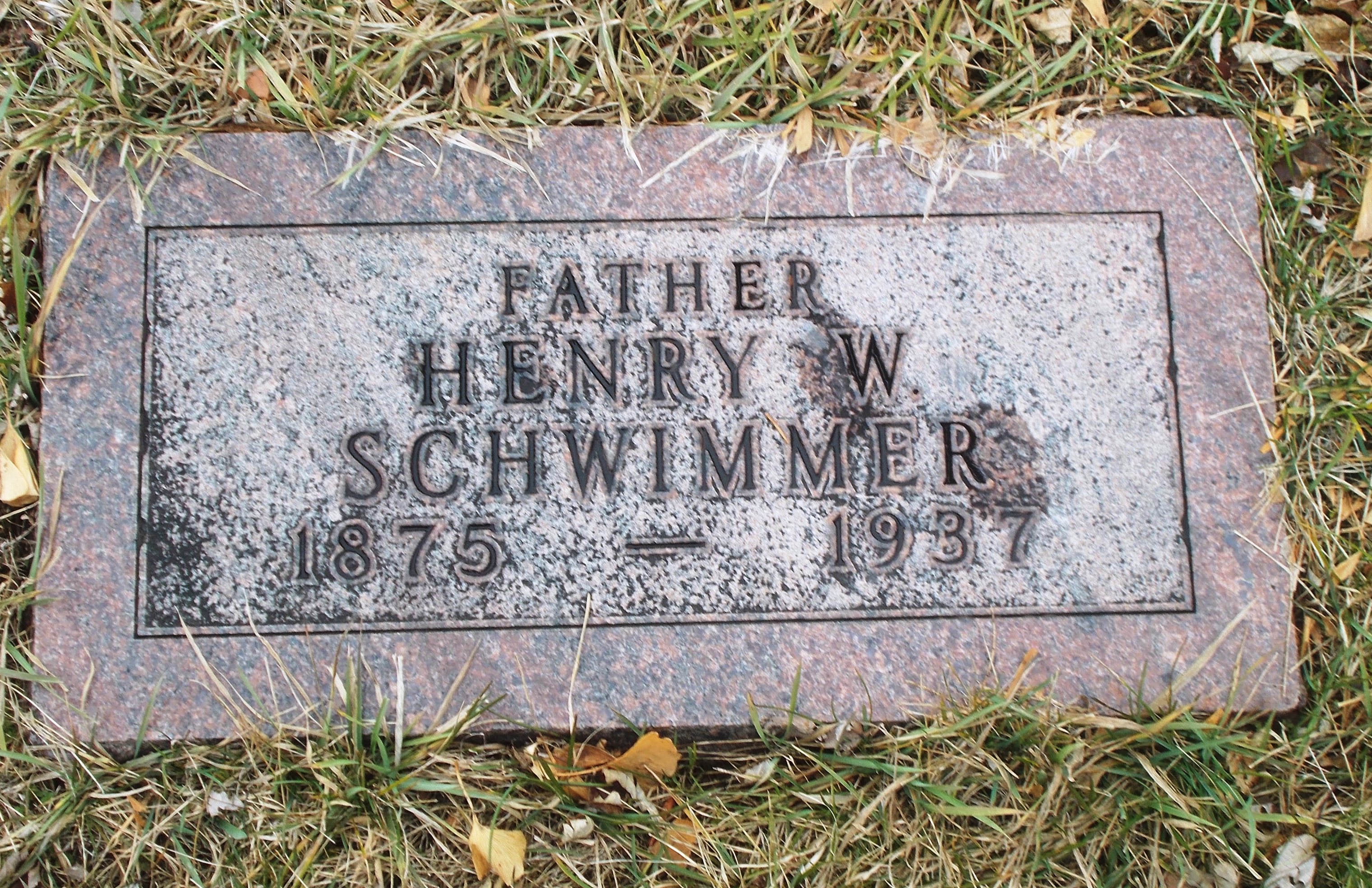 Henry W Schwimmer