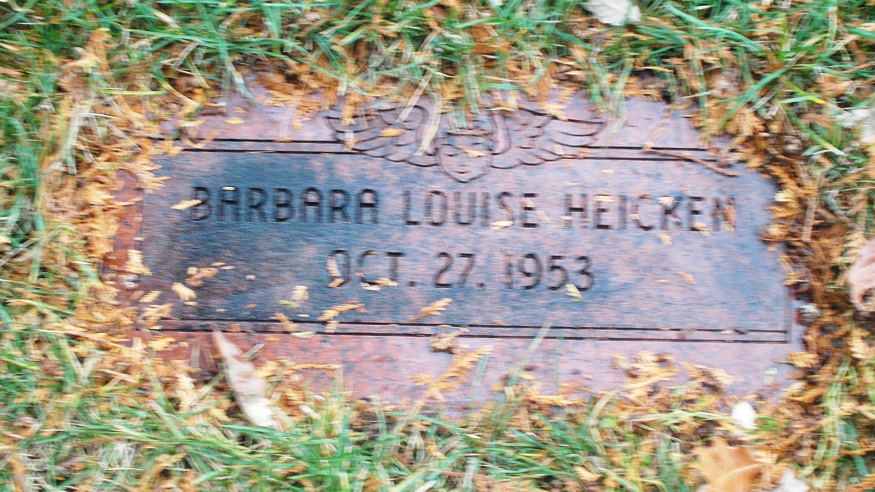 Barbara Louise Heicken