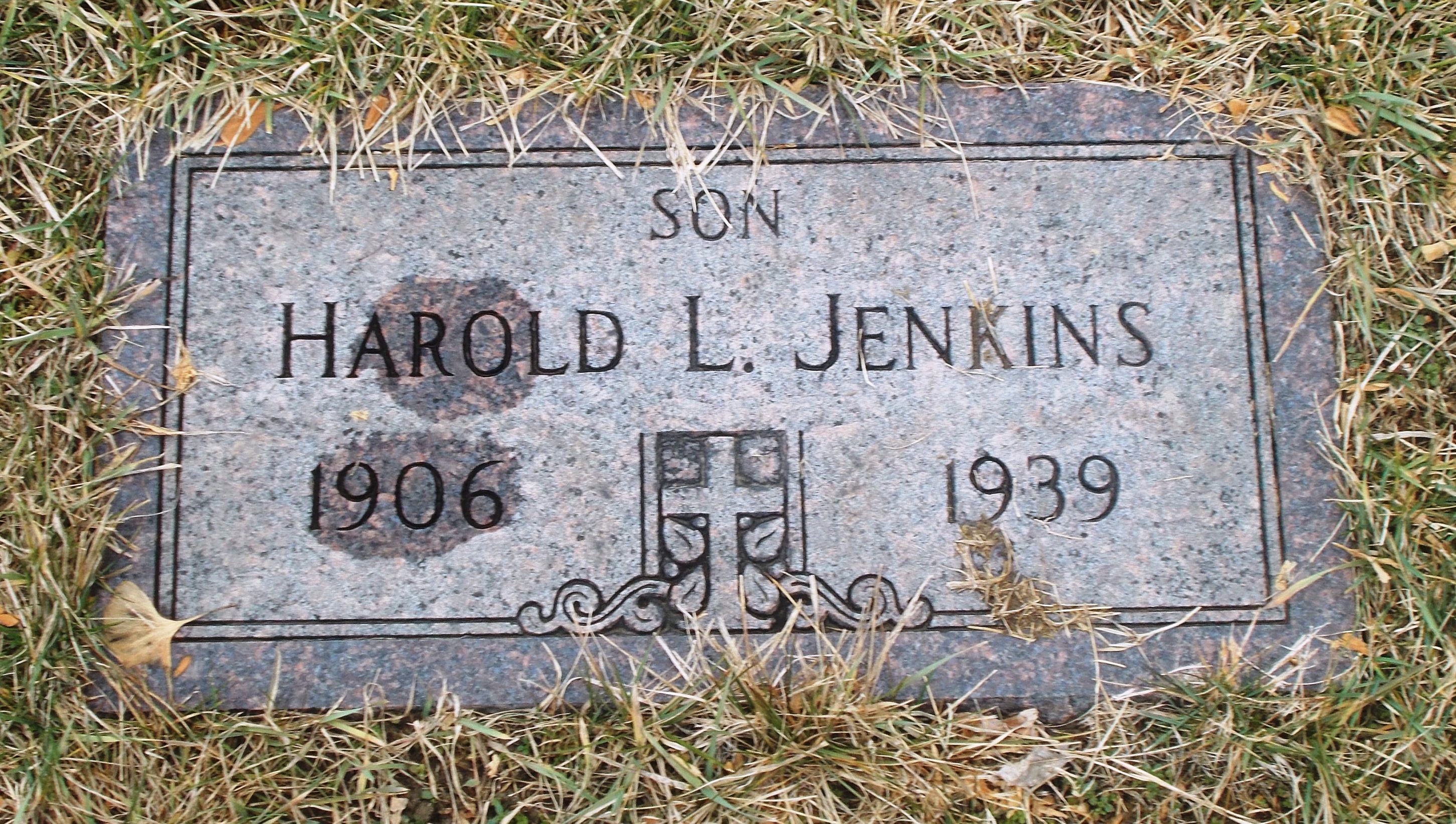 Harold L Jenkins