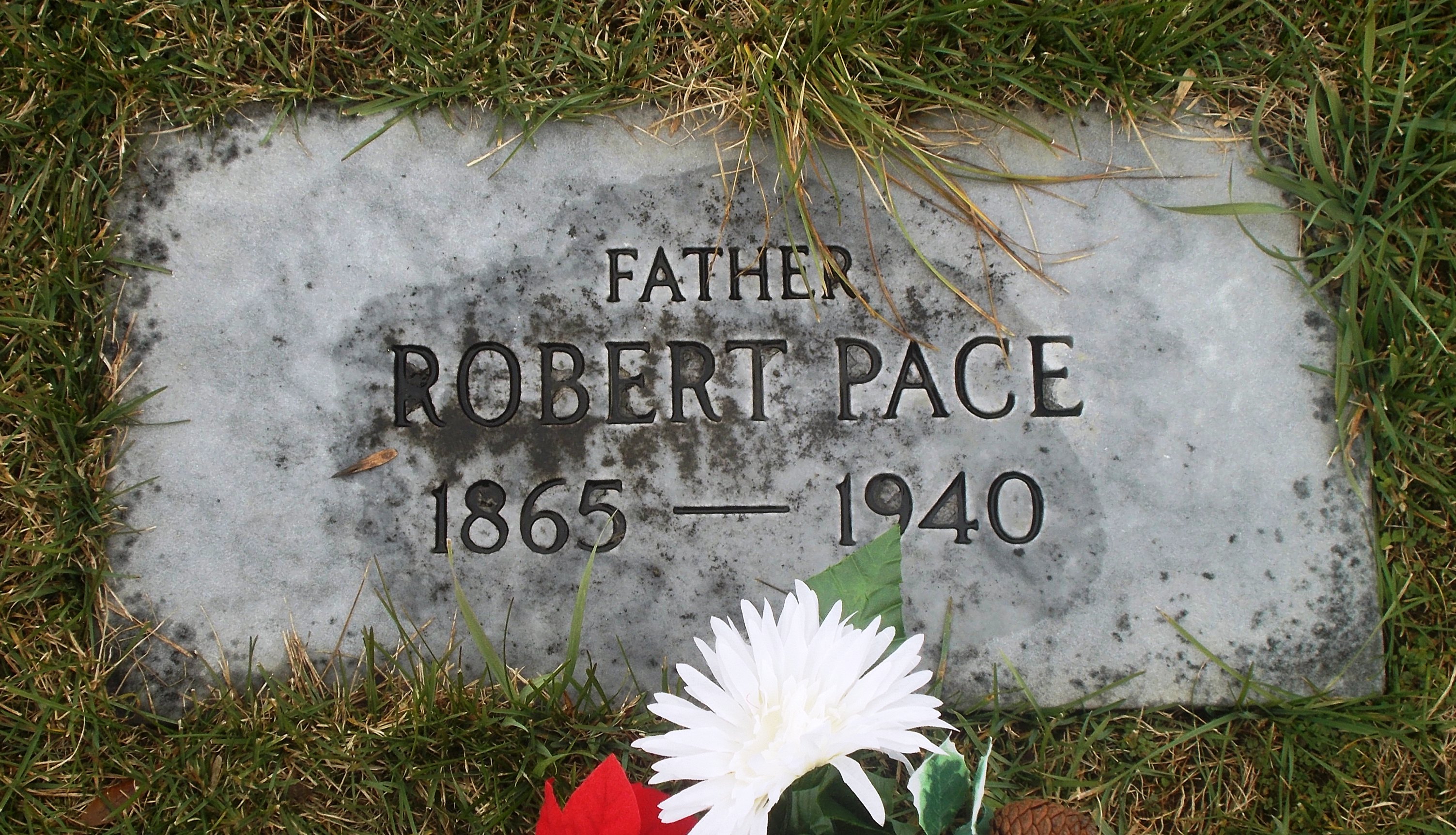 Robert Pace