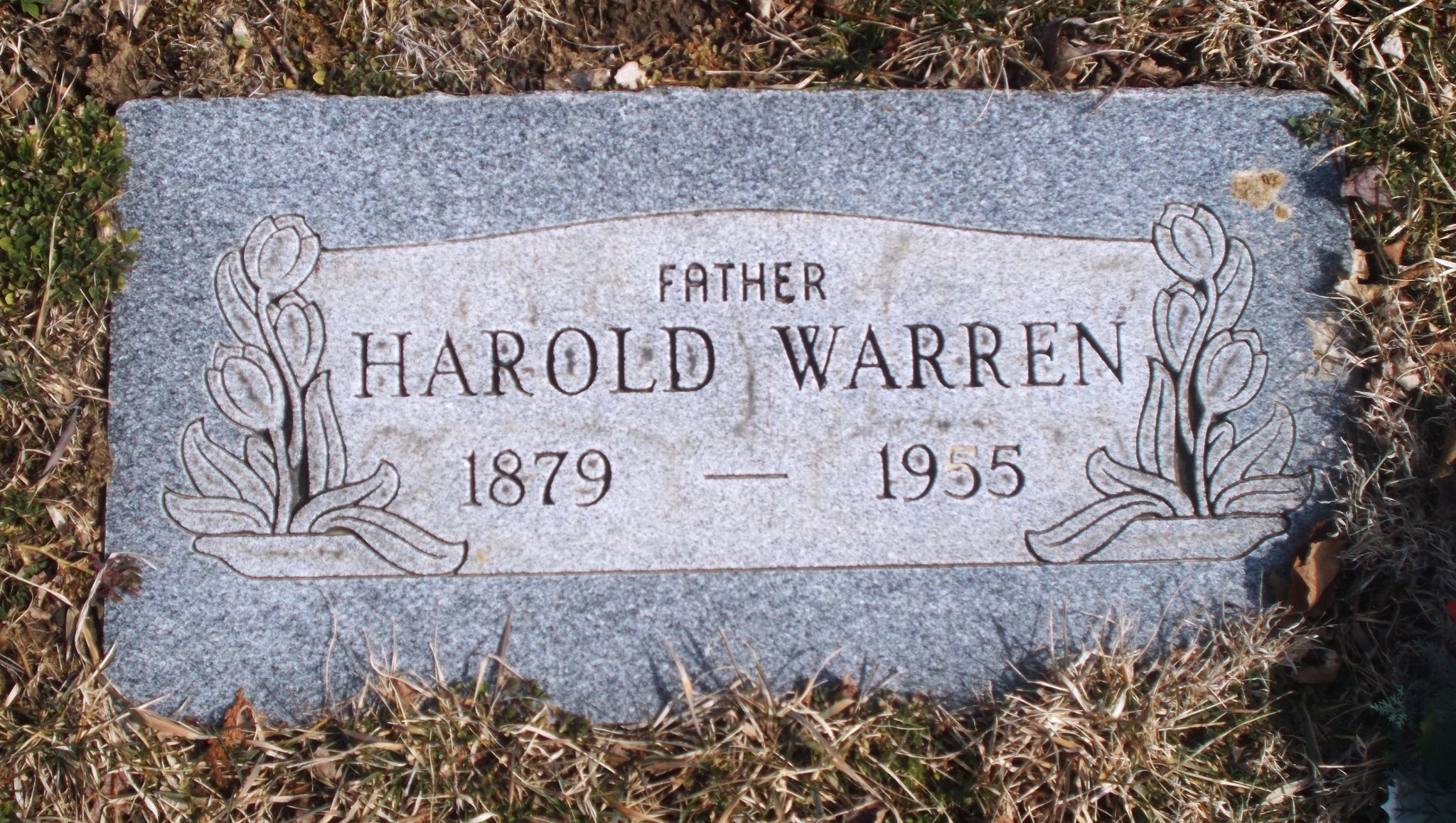 Harold Warren