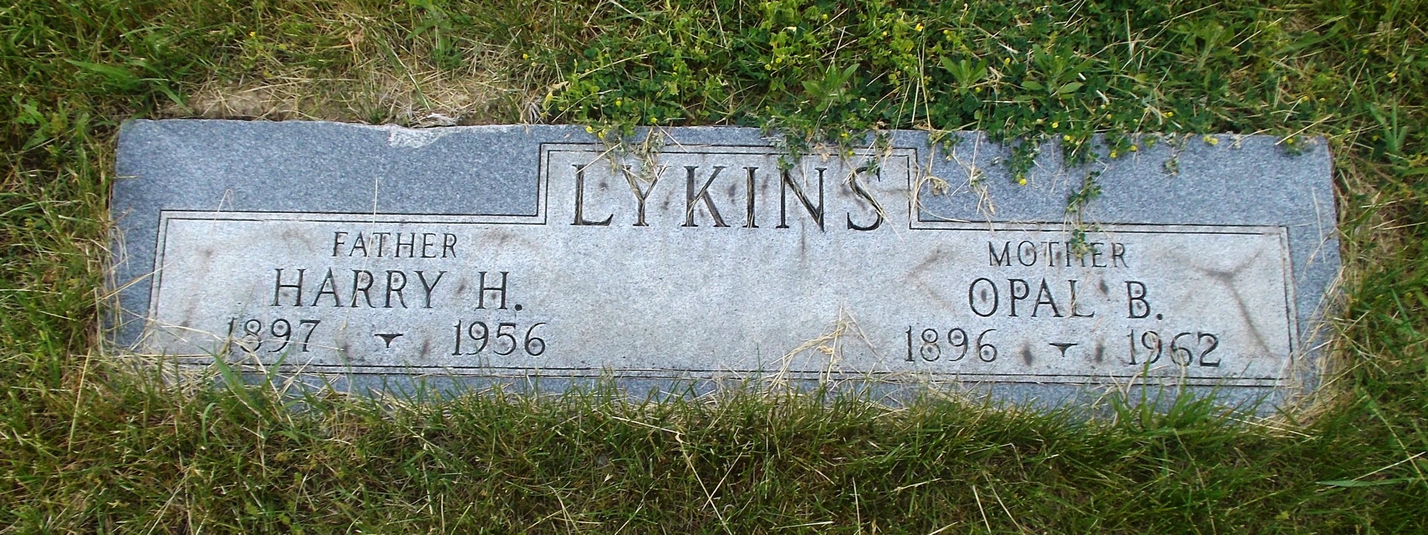 Harry H Lykins