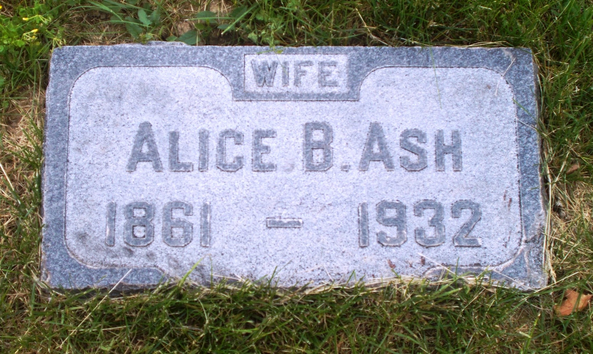 Alice B Ash
