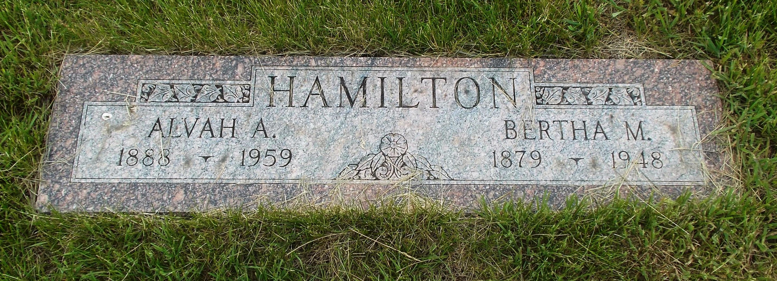 Bertha M Hamilton