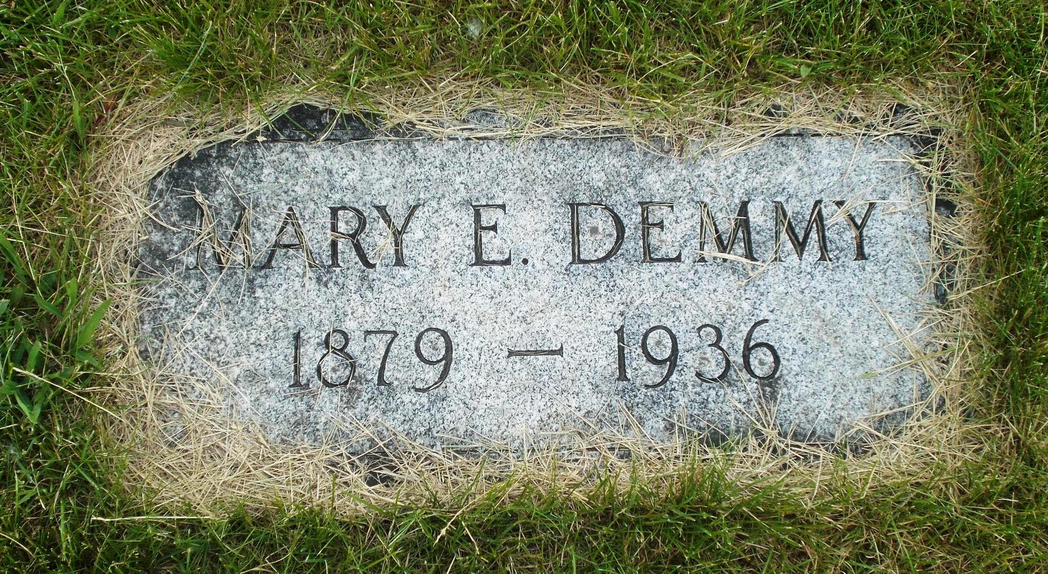 Mary E Demmy