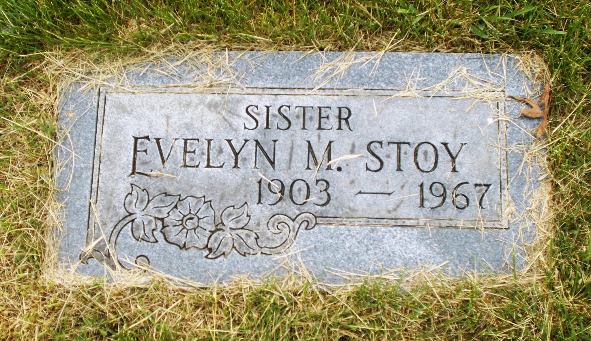Evelyn M Stoy