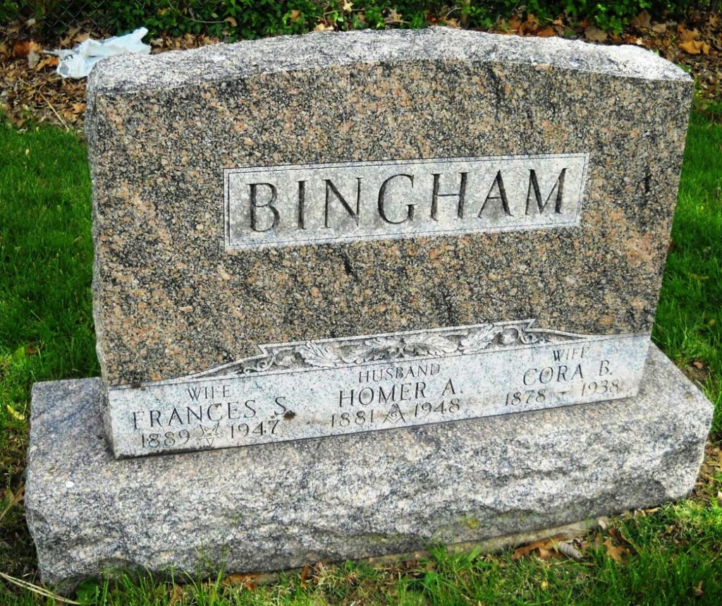 Frances S Bingham