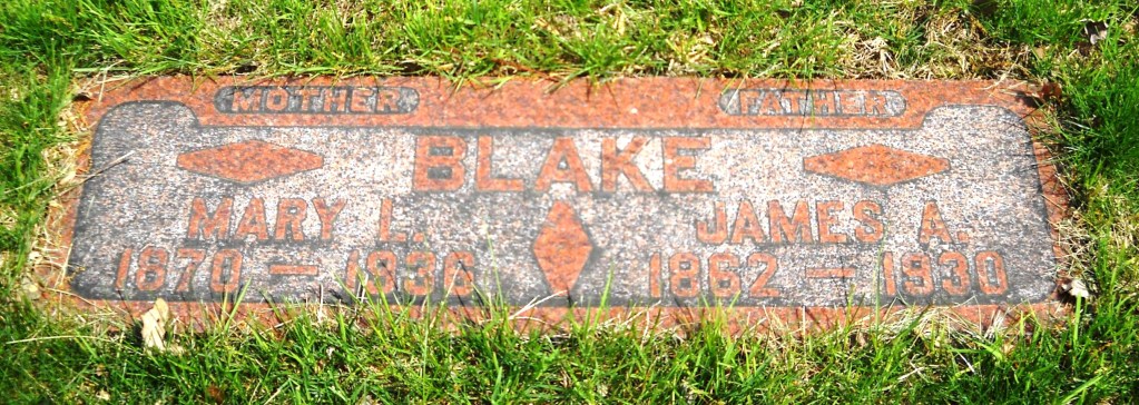 Mary L Blake