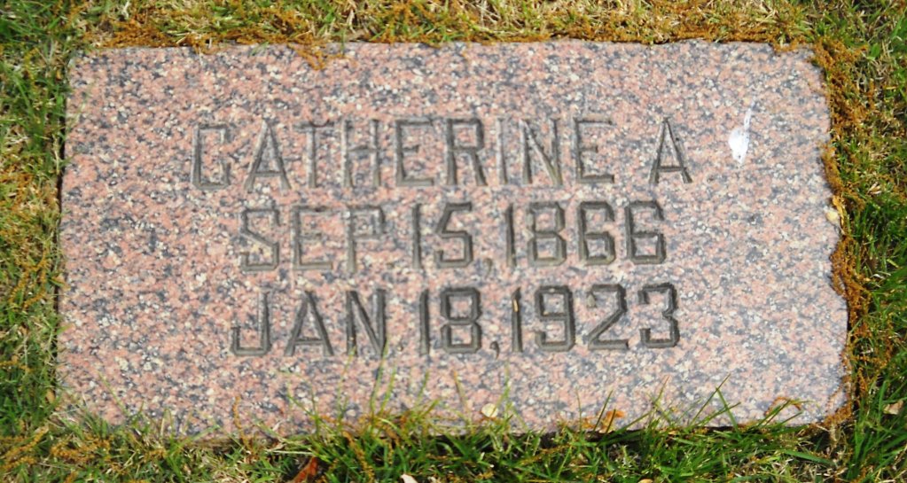 Catherine A Robinson