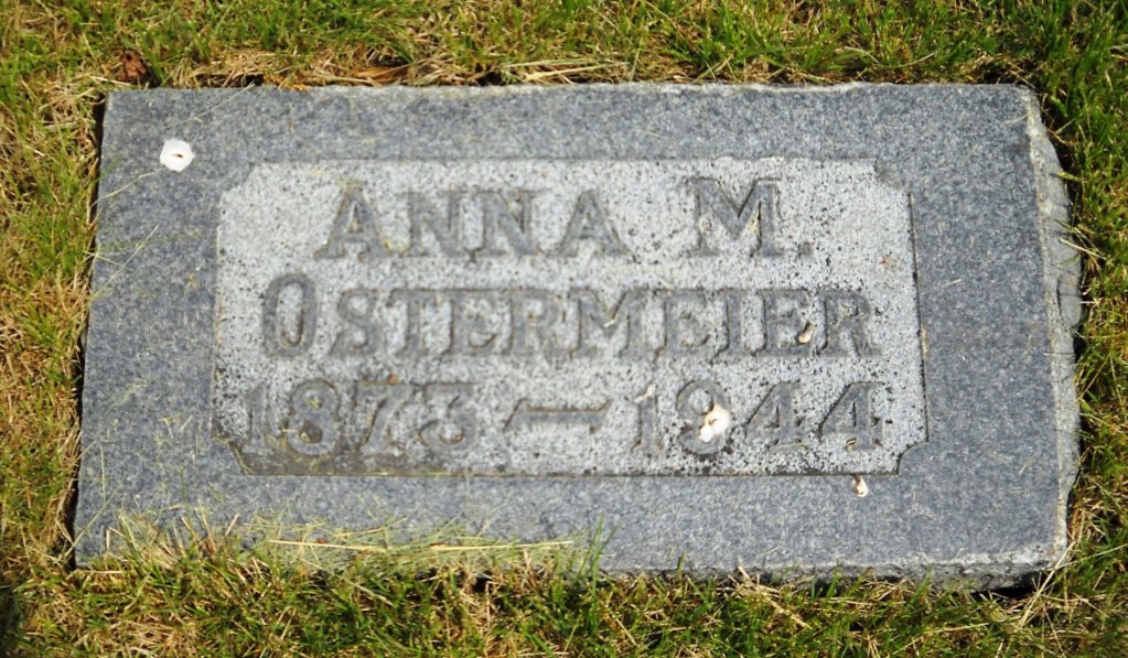 Anna M Ostermeier