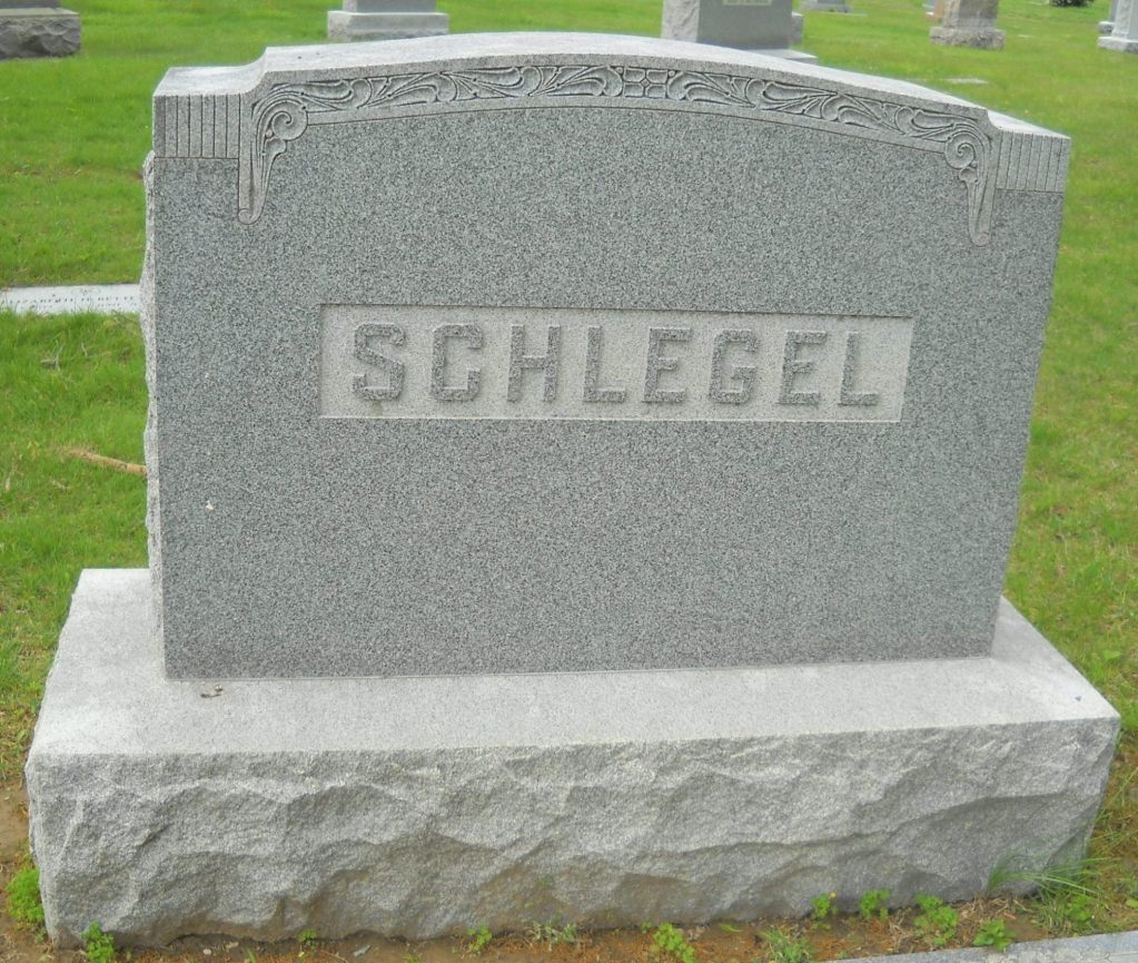 Robert C Schlegel