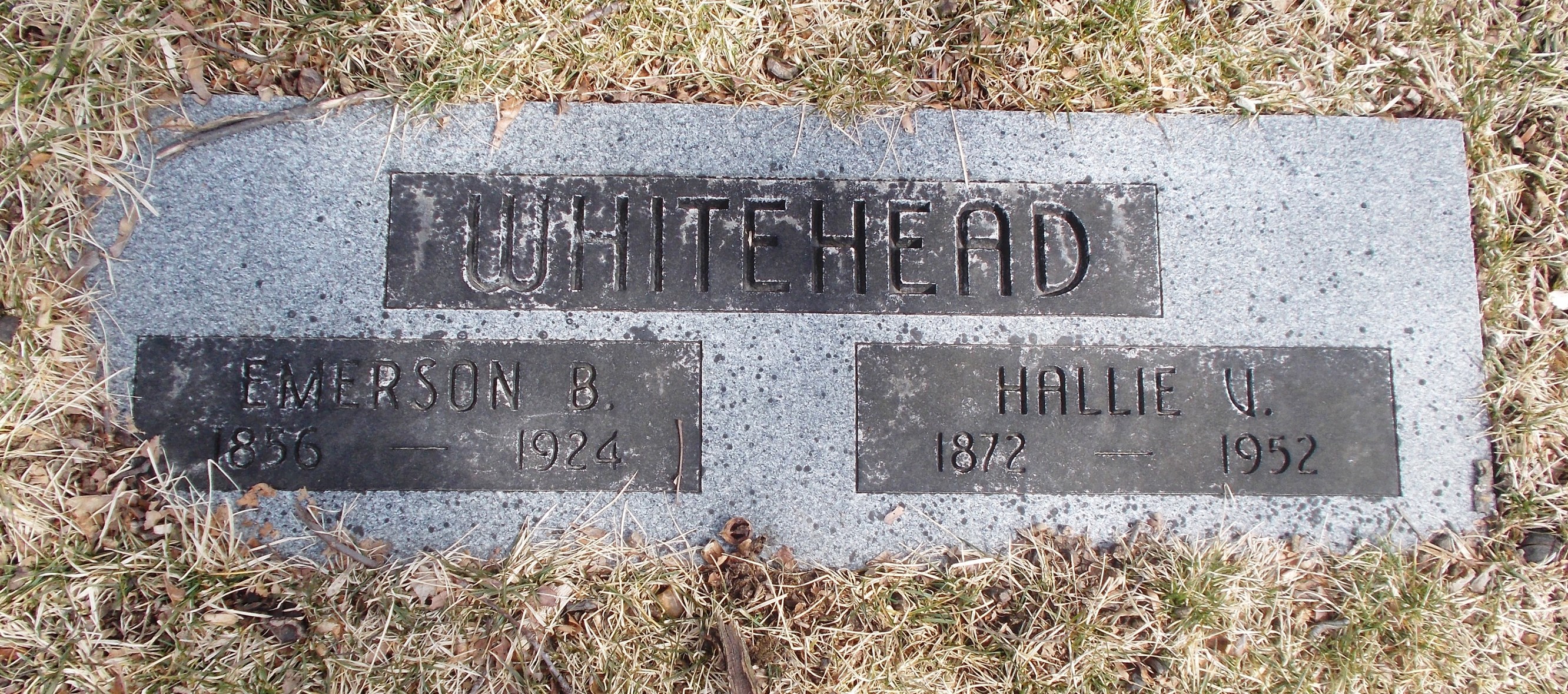 Hallie V Whitehead