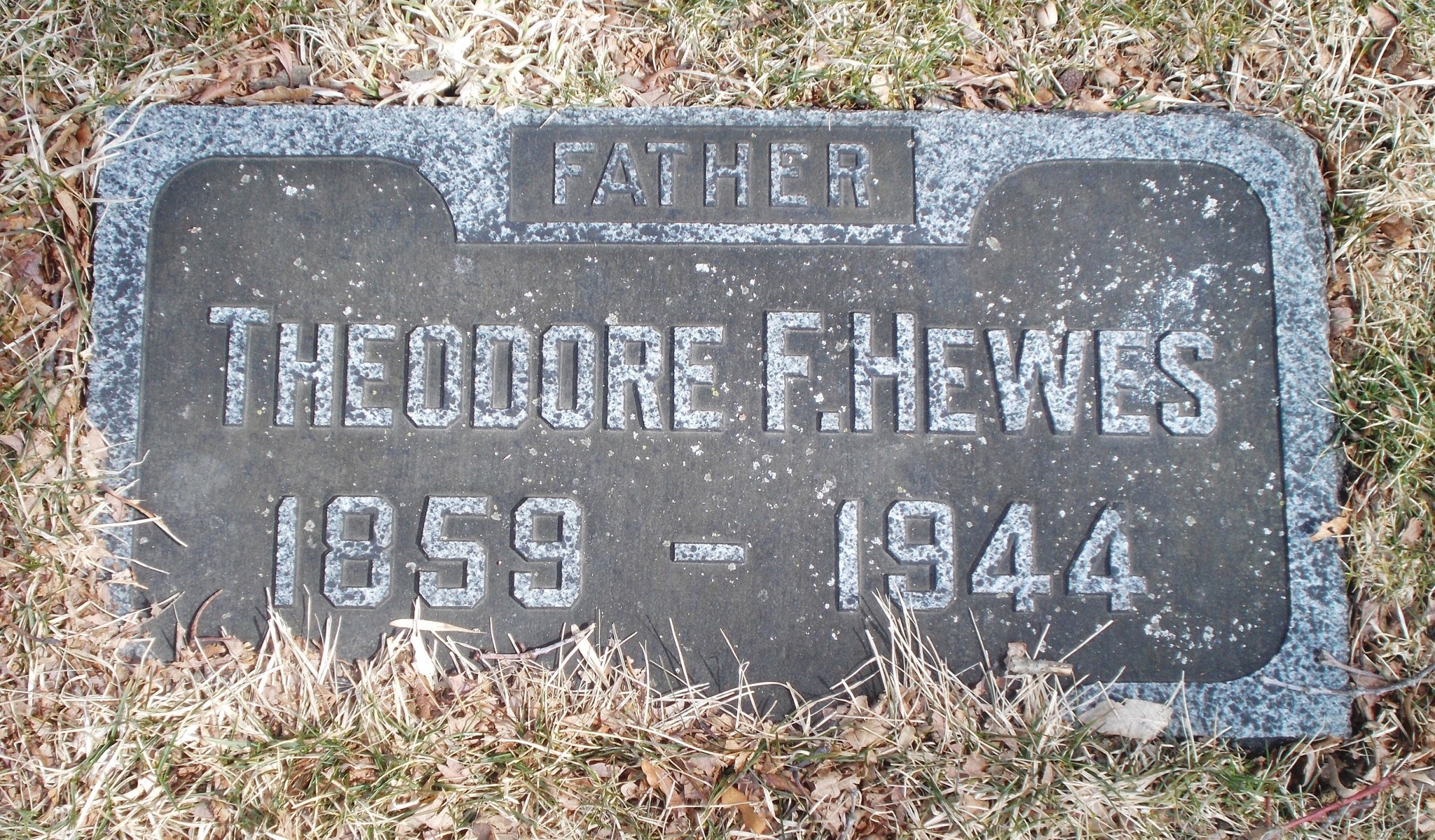 Theodore F Hewes
