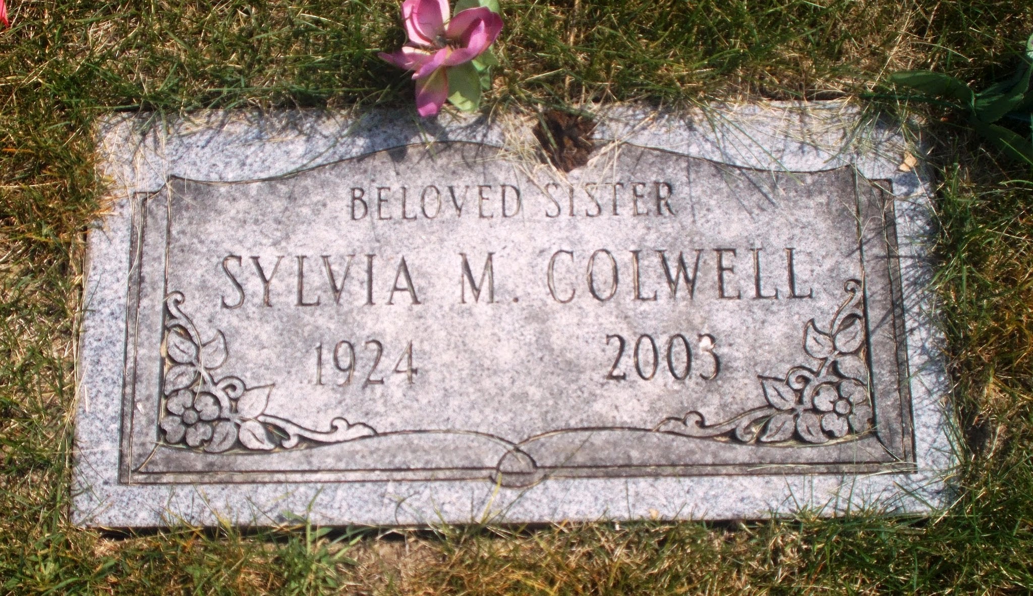 Sylvia M Colwell