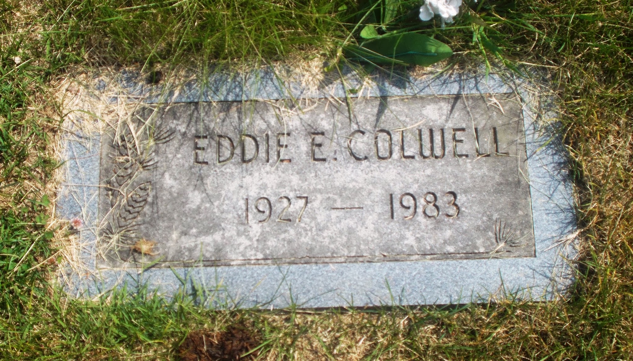 Eddie E Colwell