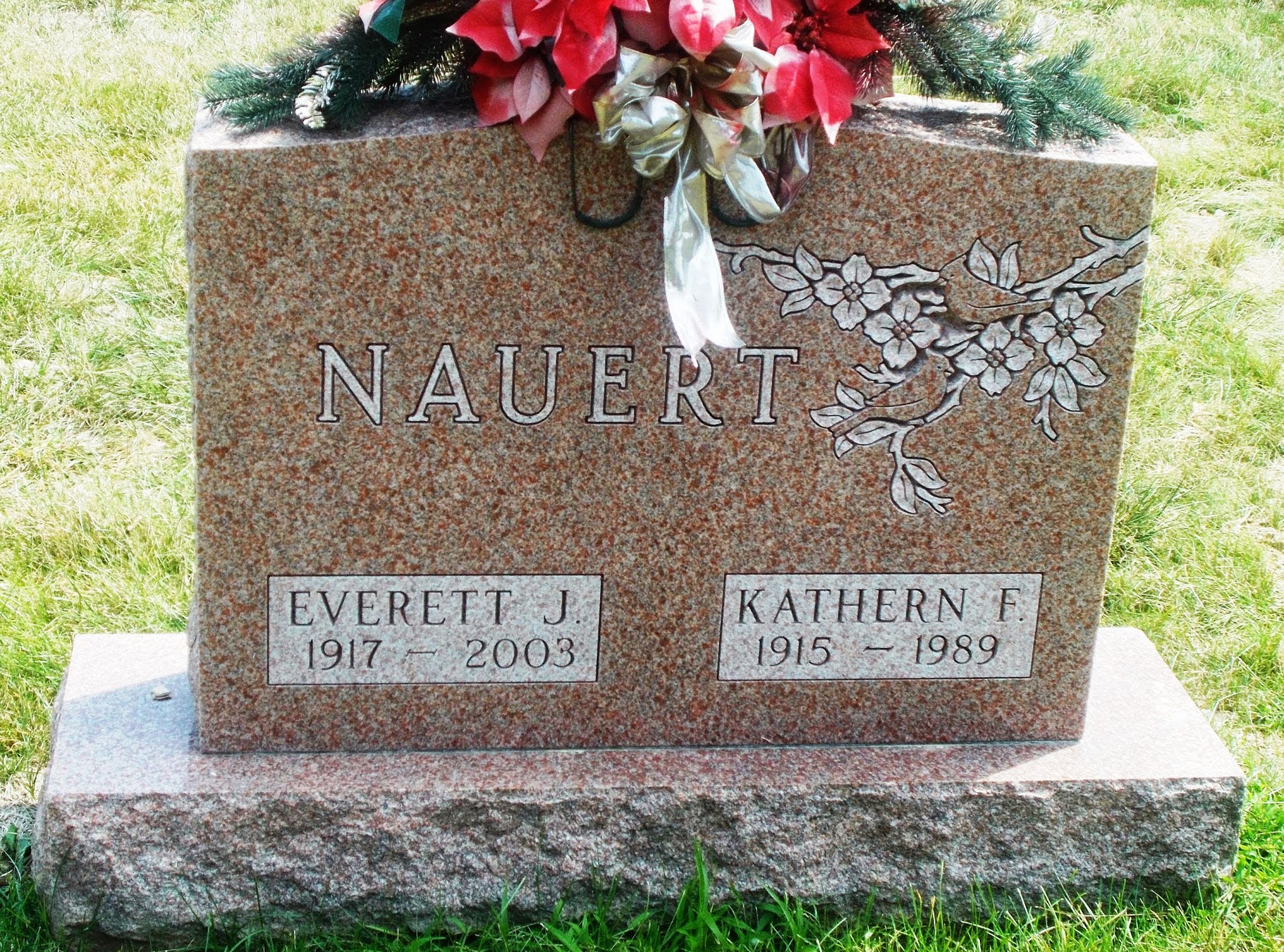 Everett J Nauert