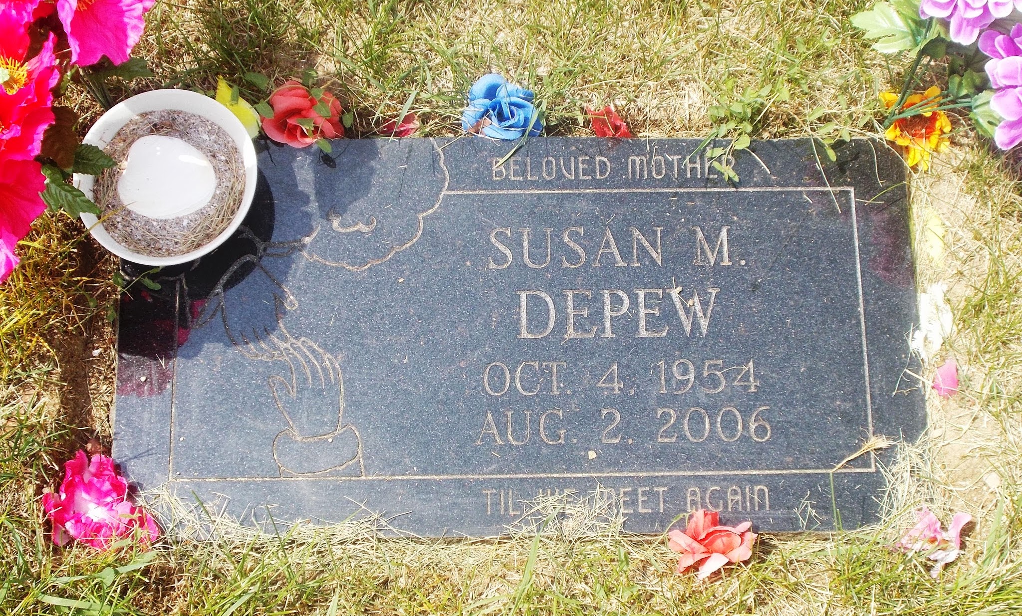 Susan M Depew
