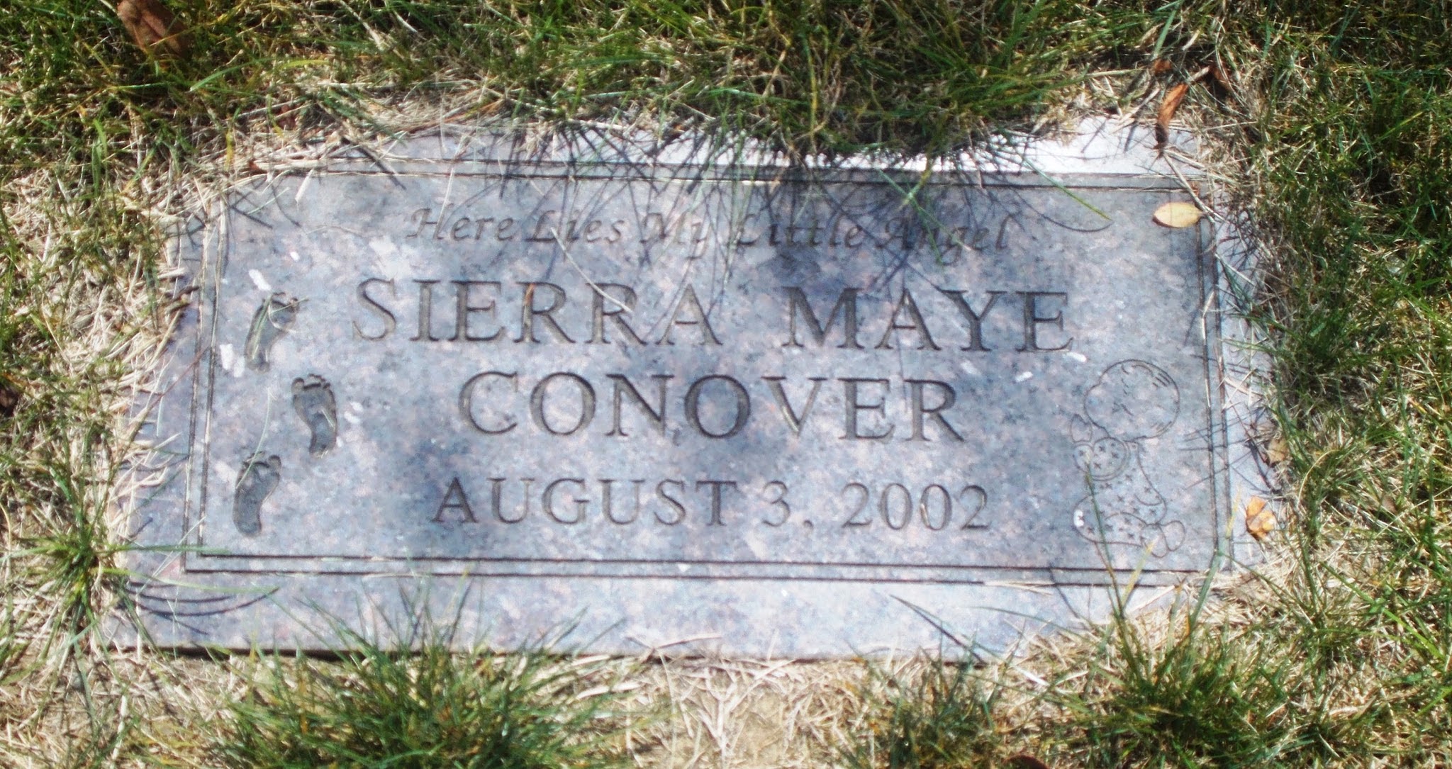 Sierra Maye Conover