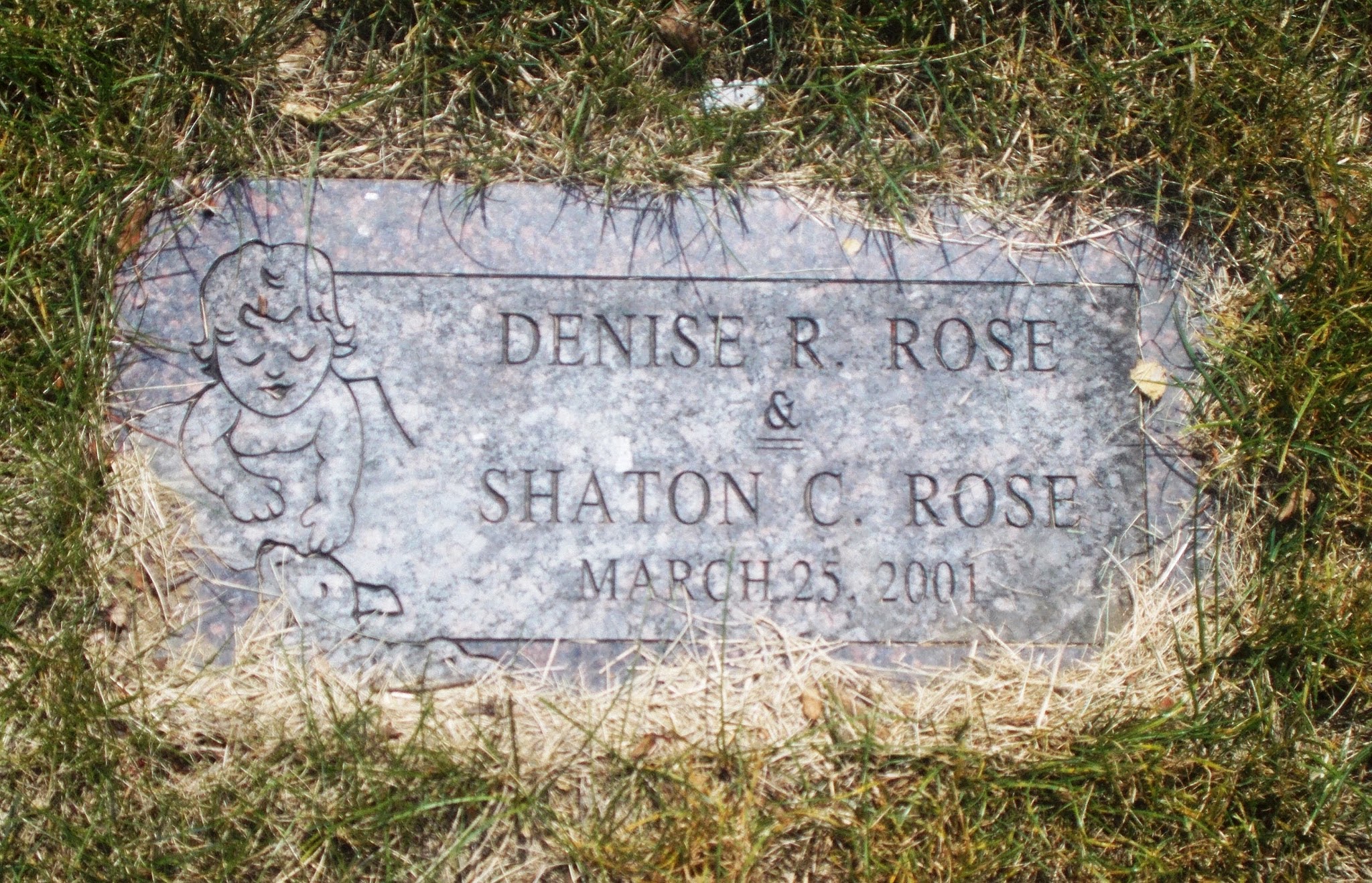 Denise R Rose