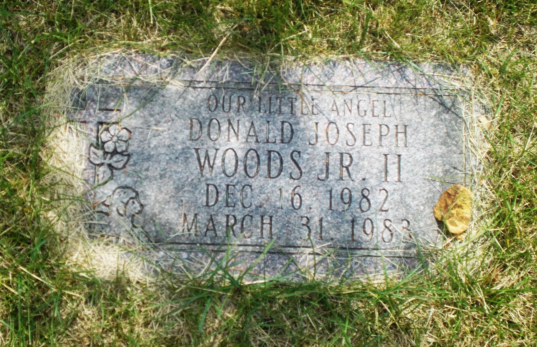 Donald Joseph Woods, Jr
