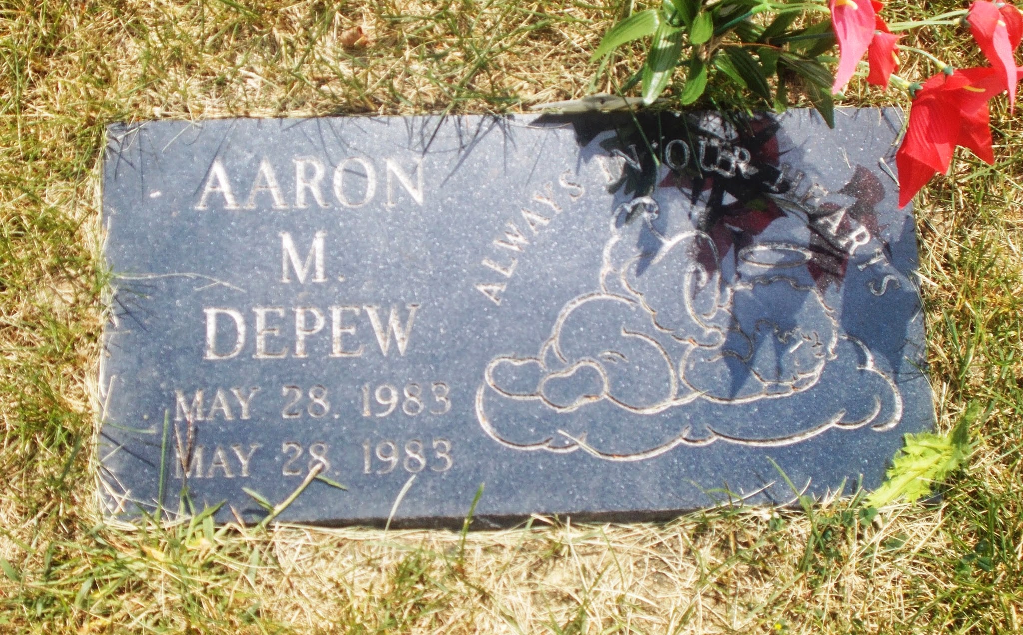 Aaron M Depew