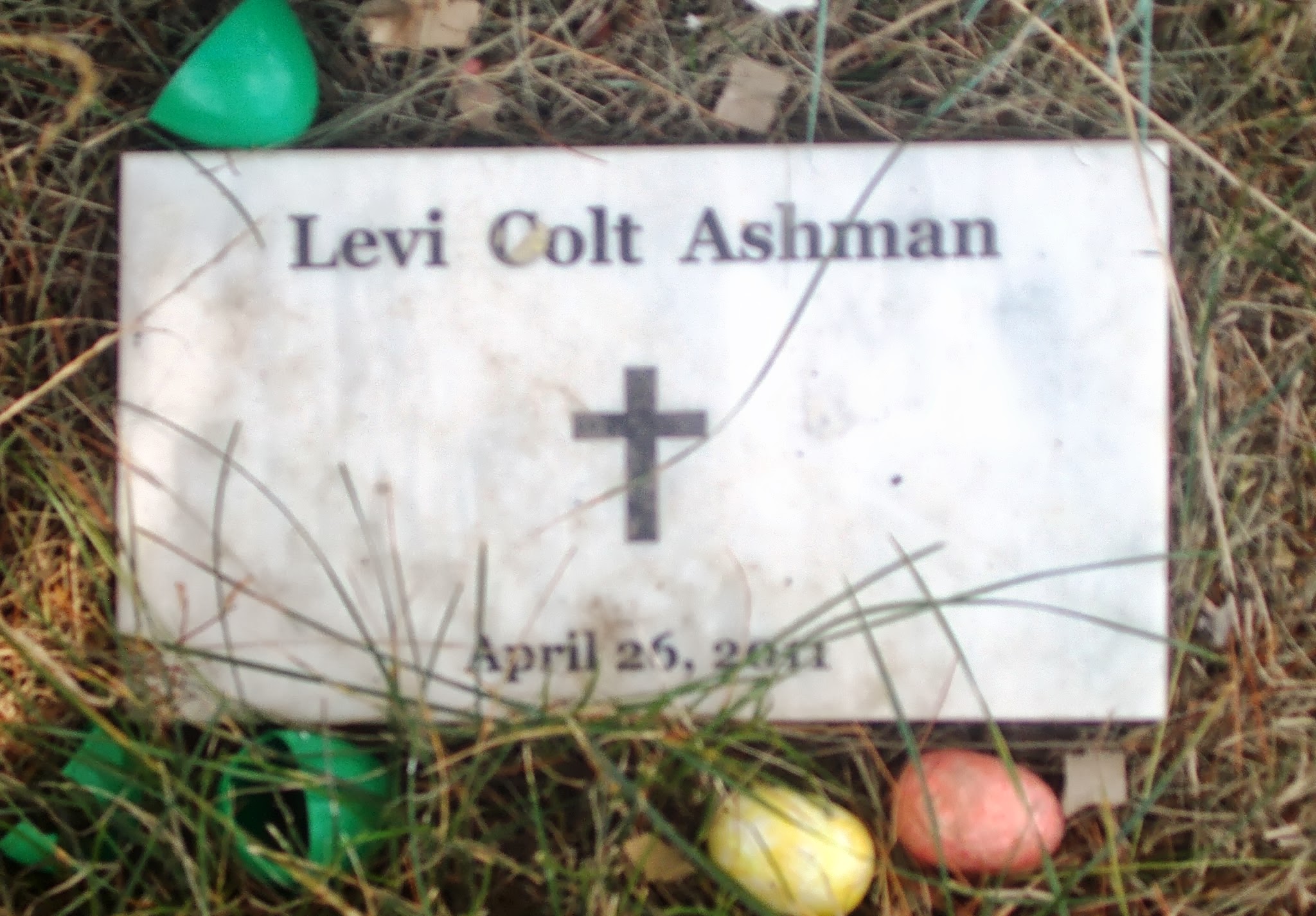 Levi Colt Ashman