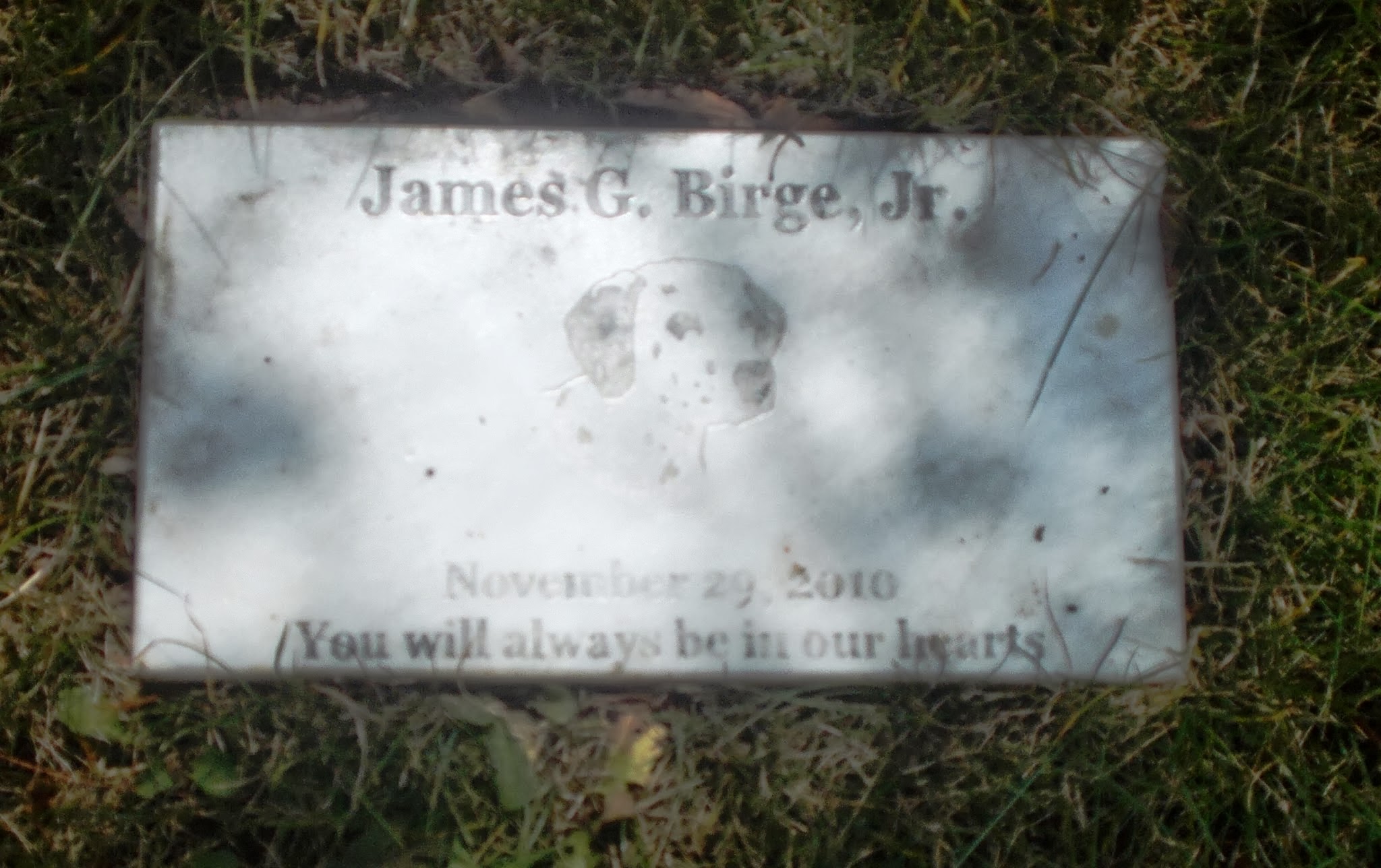 James G Birge, Jr