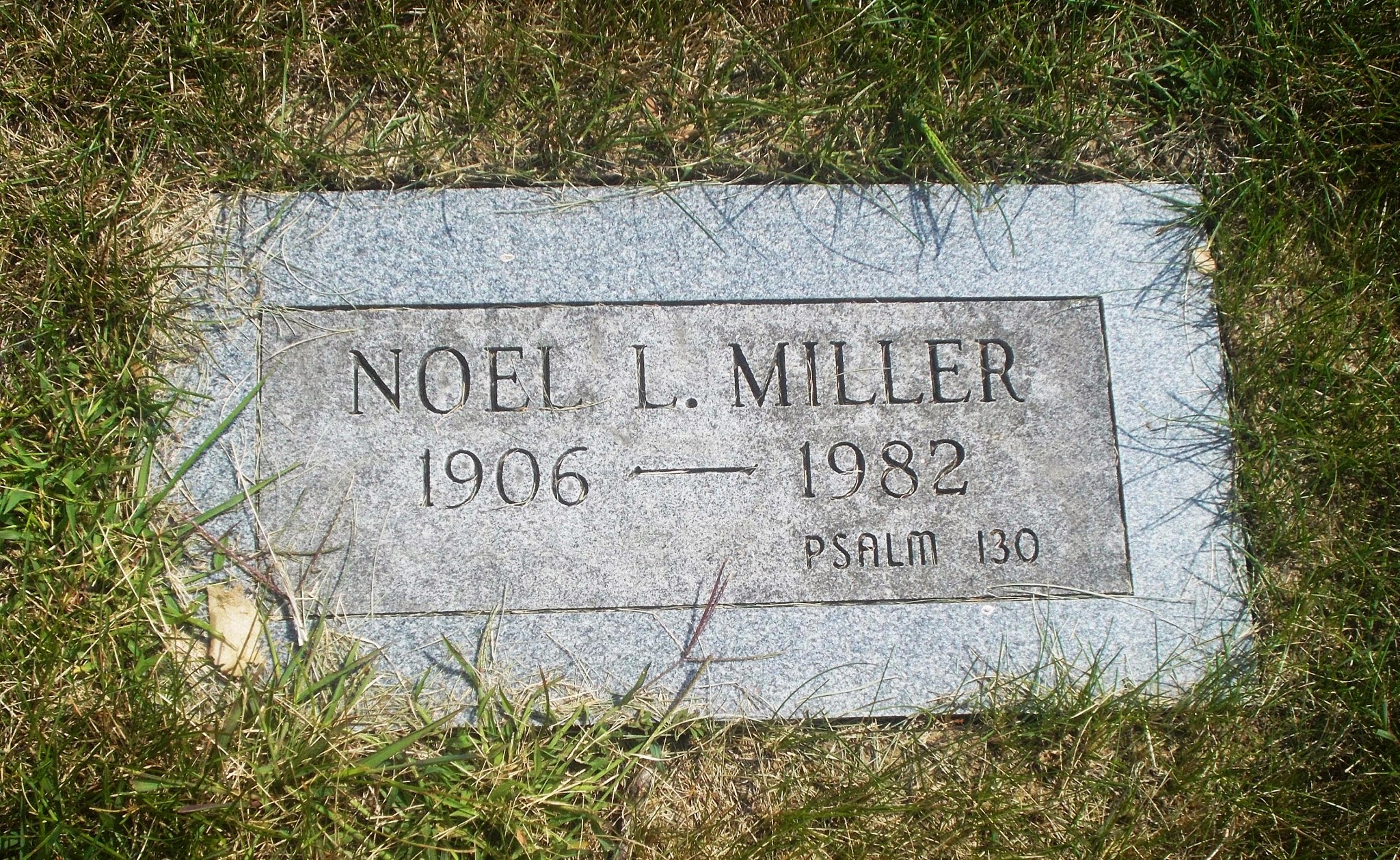 Noel L Miller