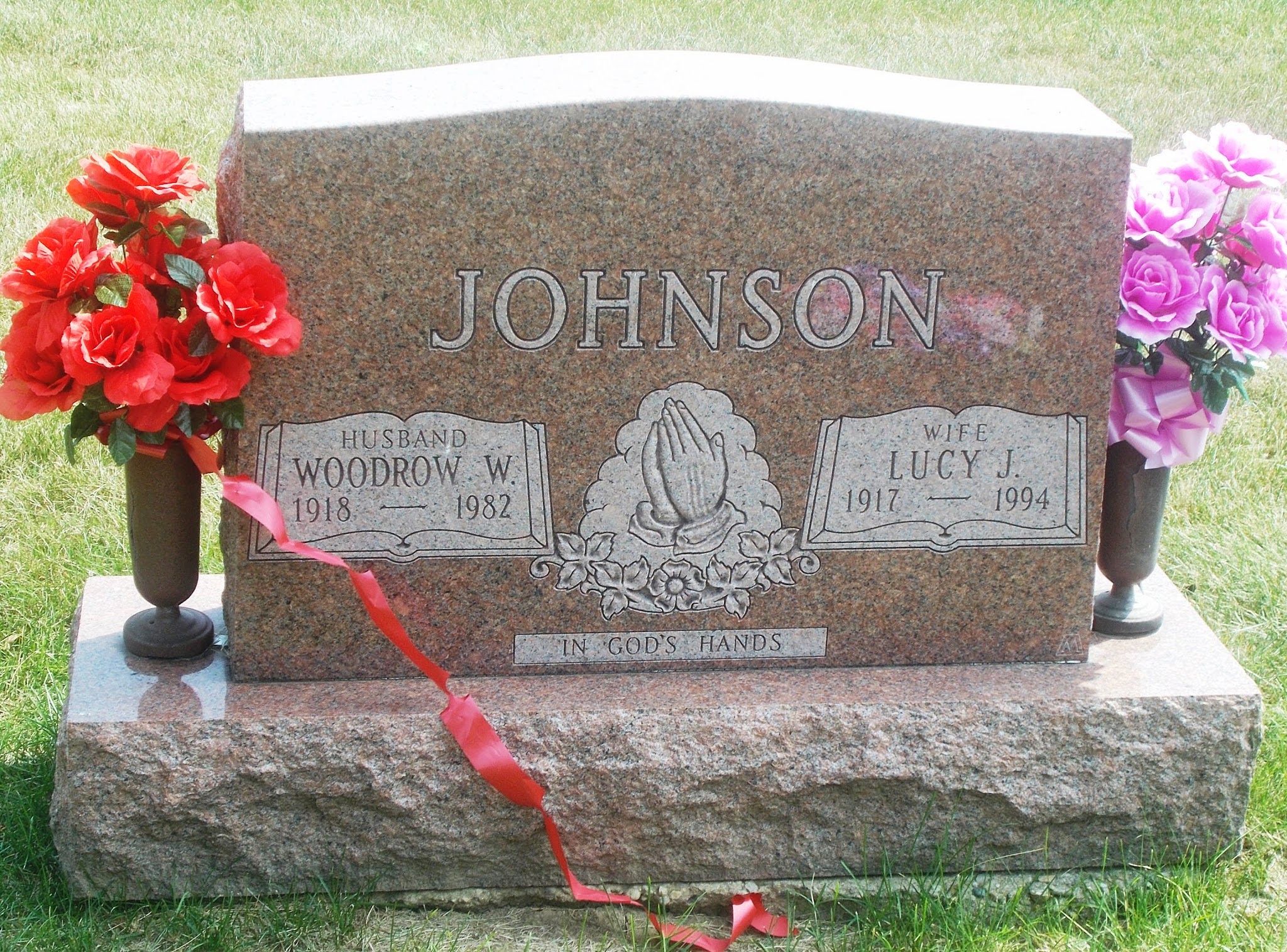 Lucy J Johnson
