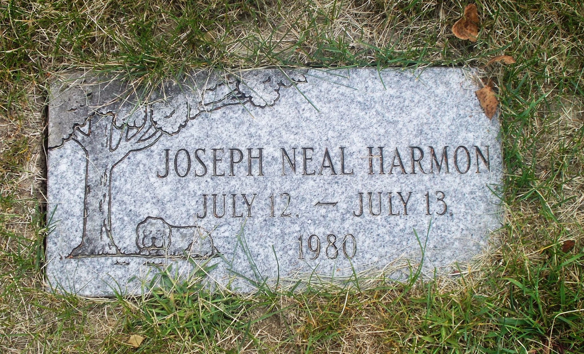 Joseph Neal Harmon