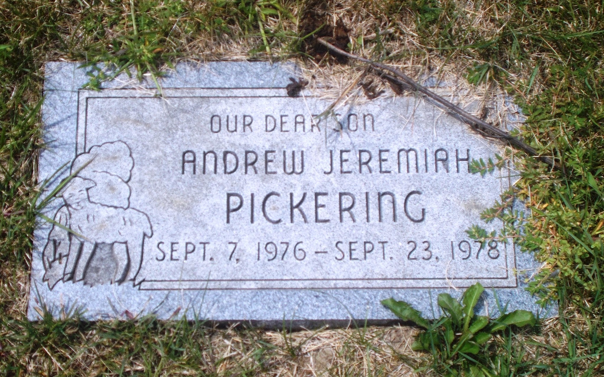 Andrew Jeremiah Pickering
