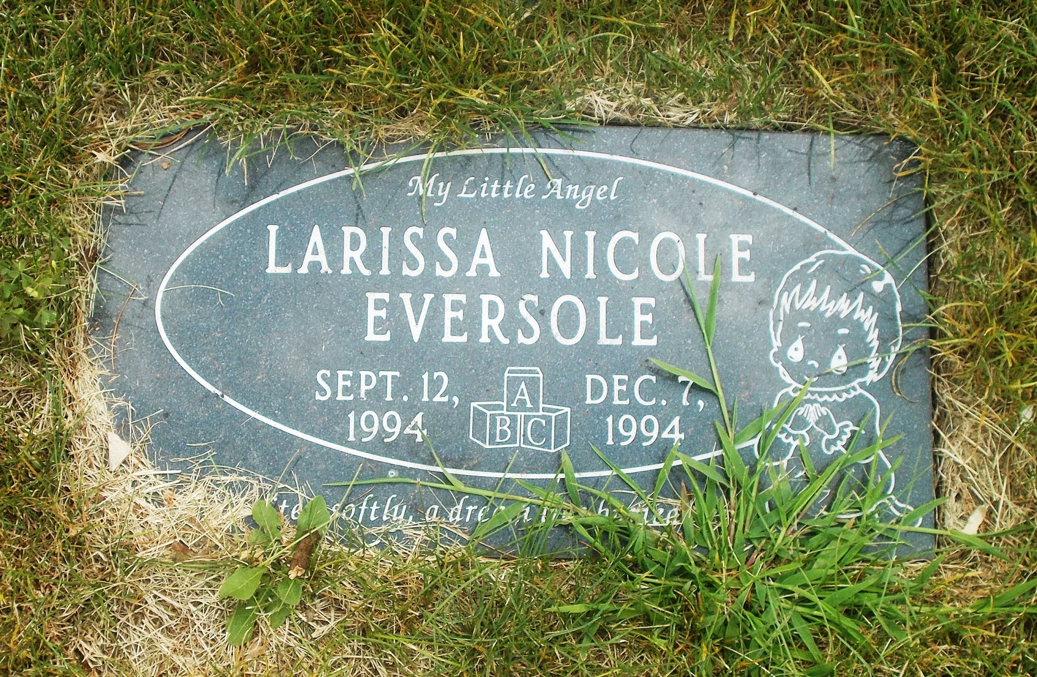 Larissa Nicole Eversole