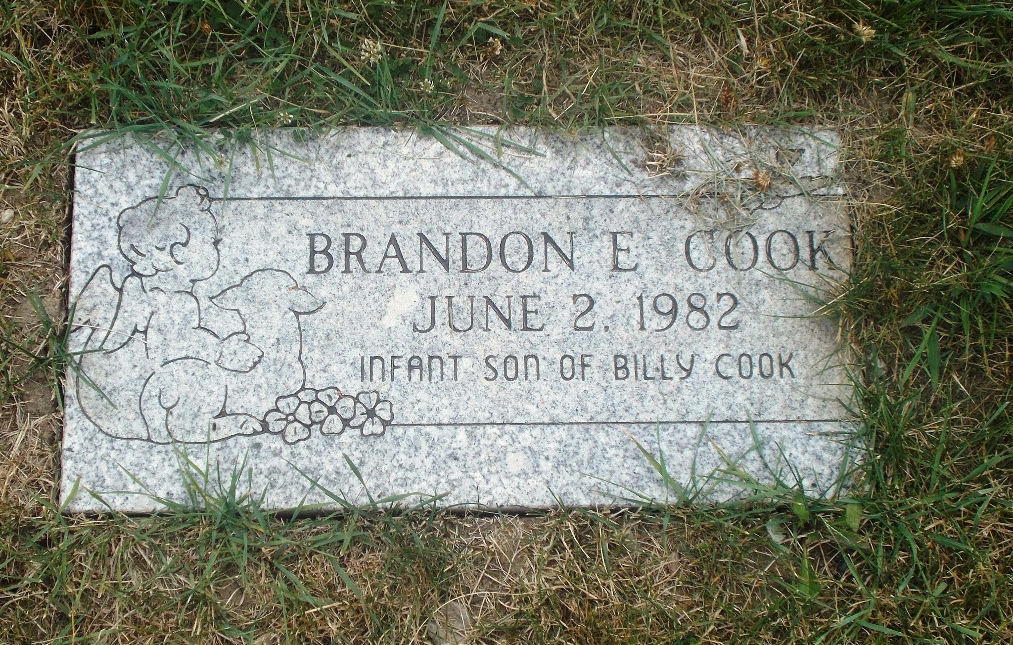 Brandon E Cook