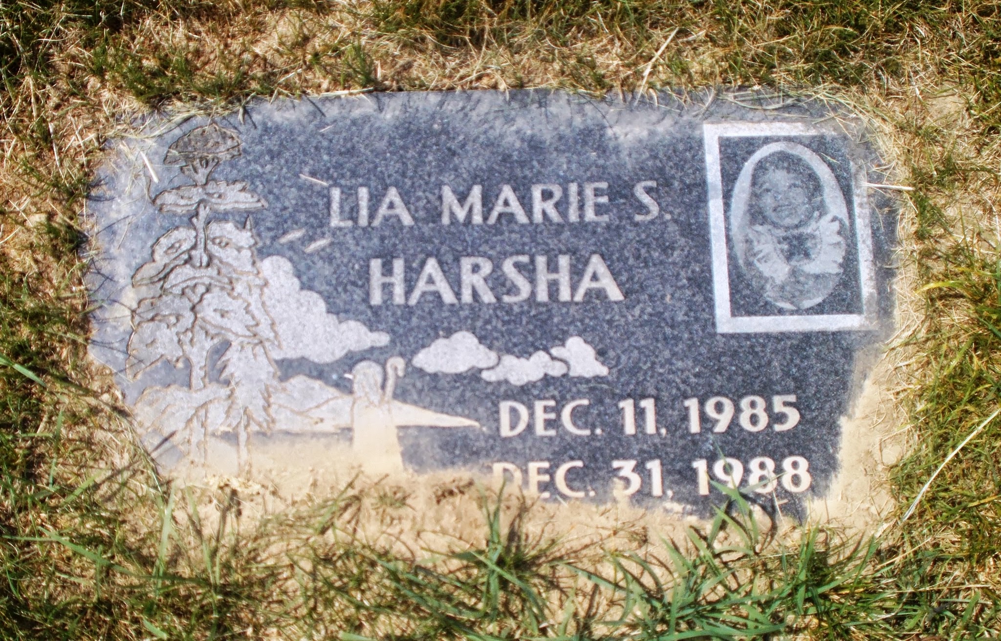 Lia Marie S Harsha