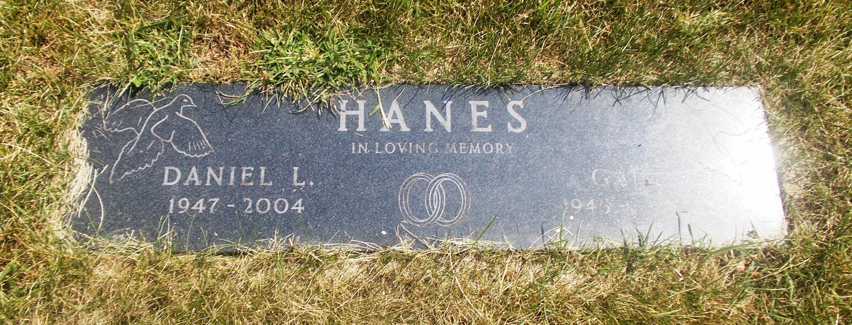 Daniel L Hanes