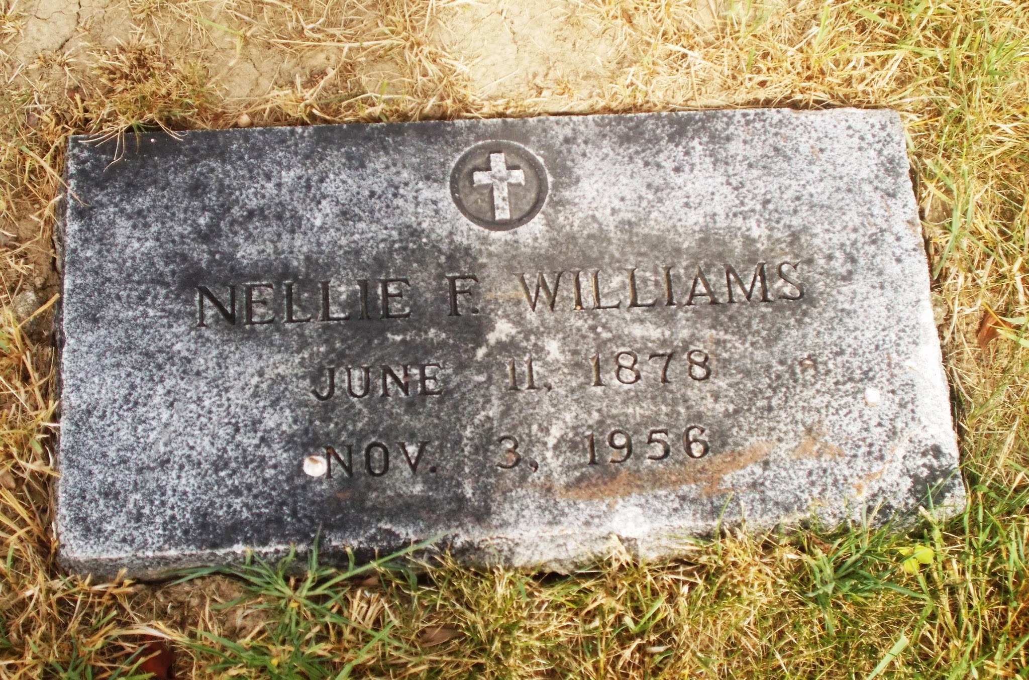 Nellie F Williams