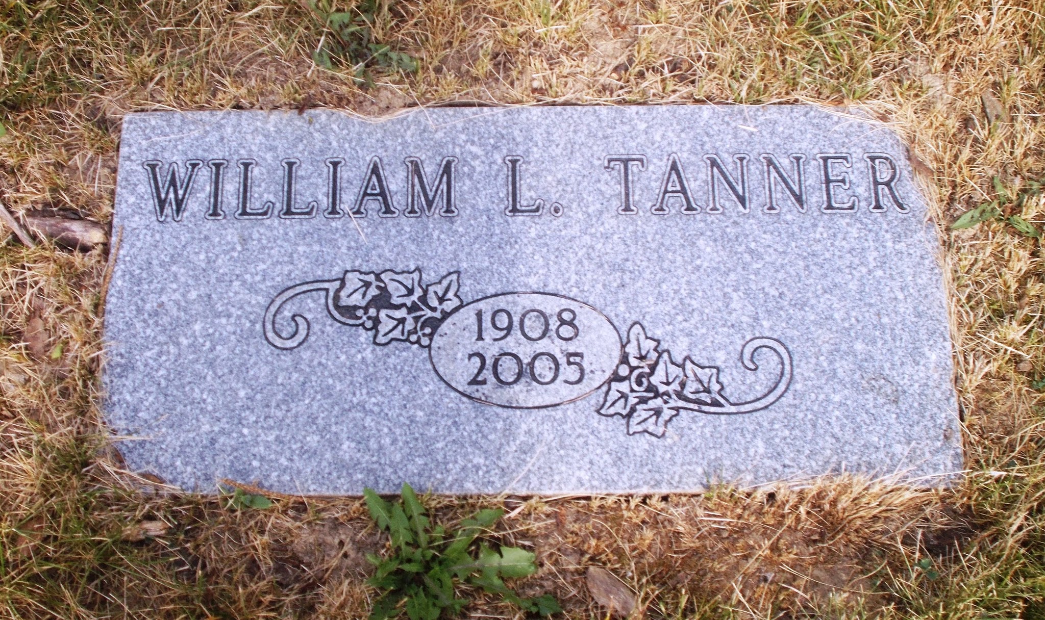 William L Tanner