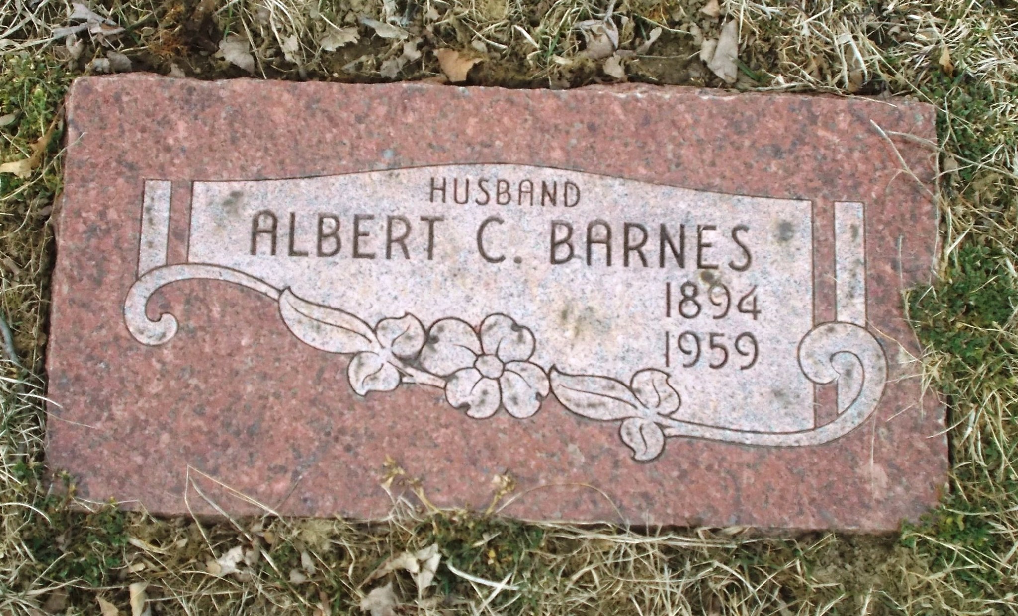 Albert C Barnes